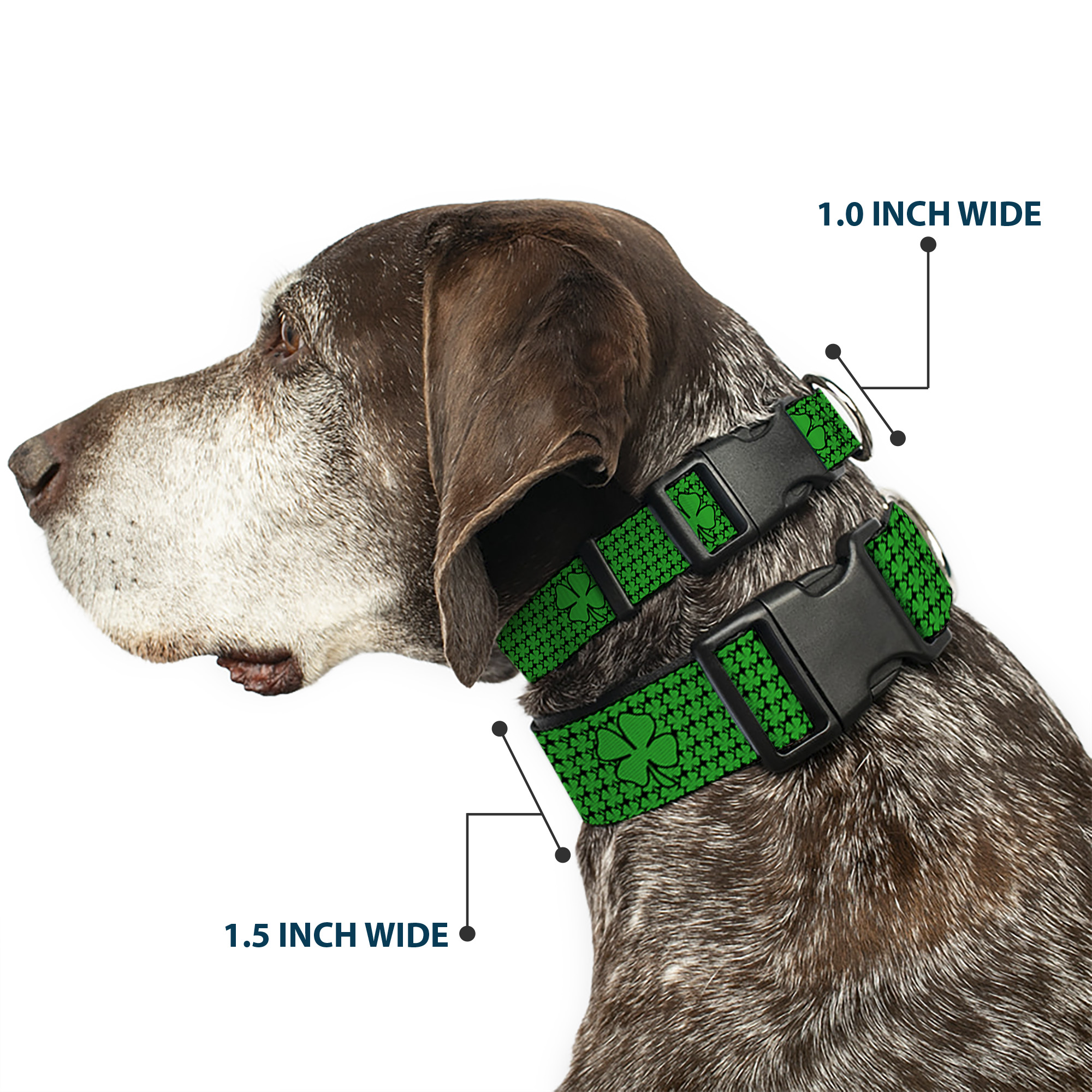 Plastic Clip Collar St. Pat's Clovers/Green Medium 11-16.5"