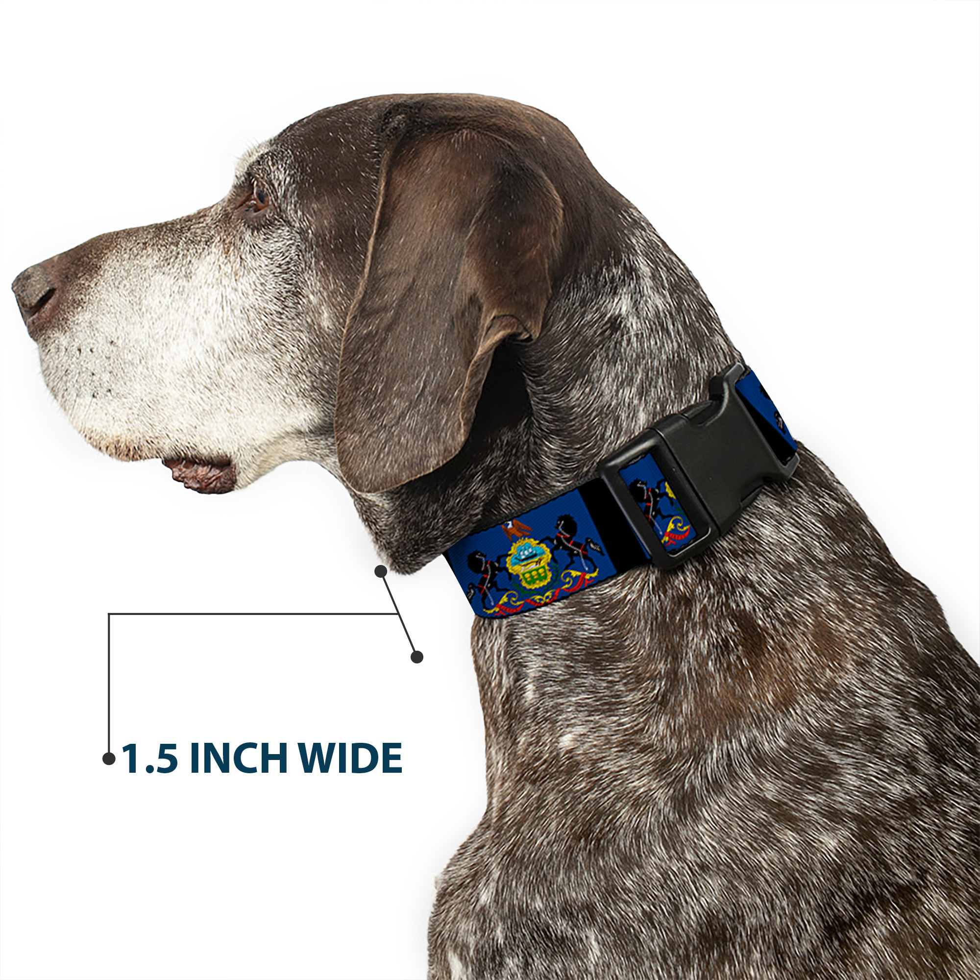 Plastic Clip Collar Pennsylvania Flags/Black NARROW-Small 7-8.5"