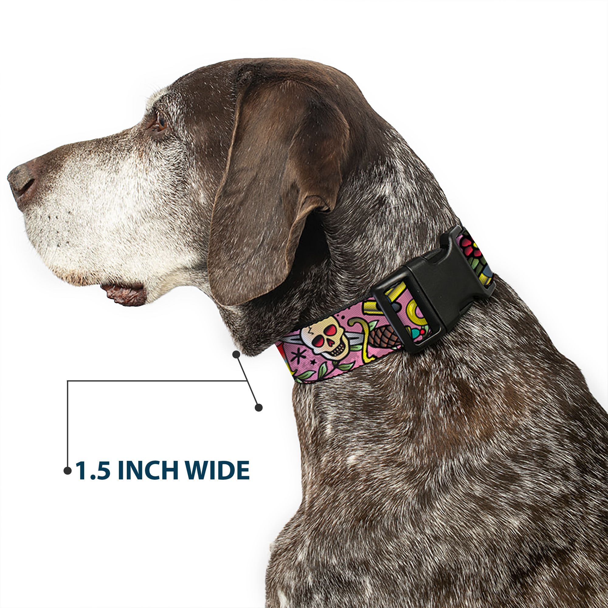 Plastic Clip Collar Born to Raise Hell Pink NARROW-Medium 8.5-12