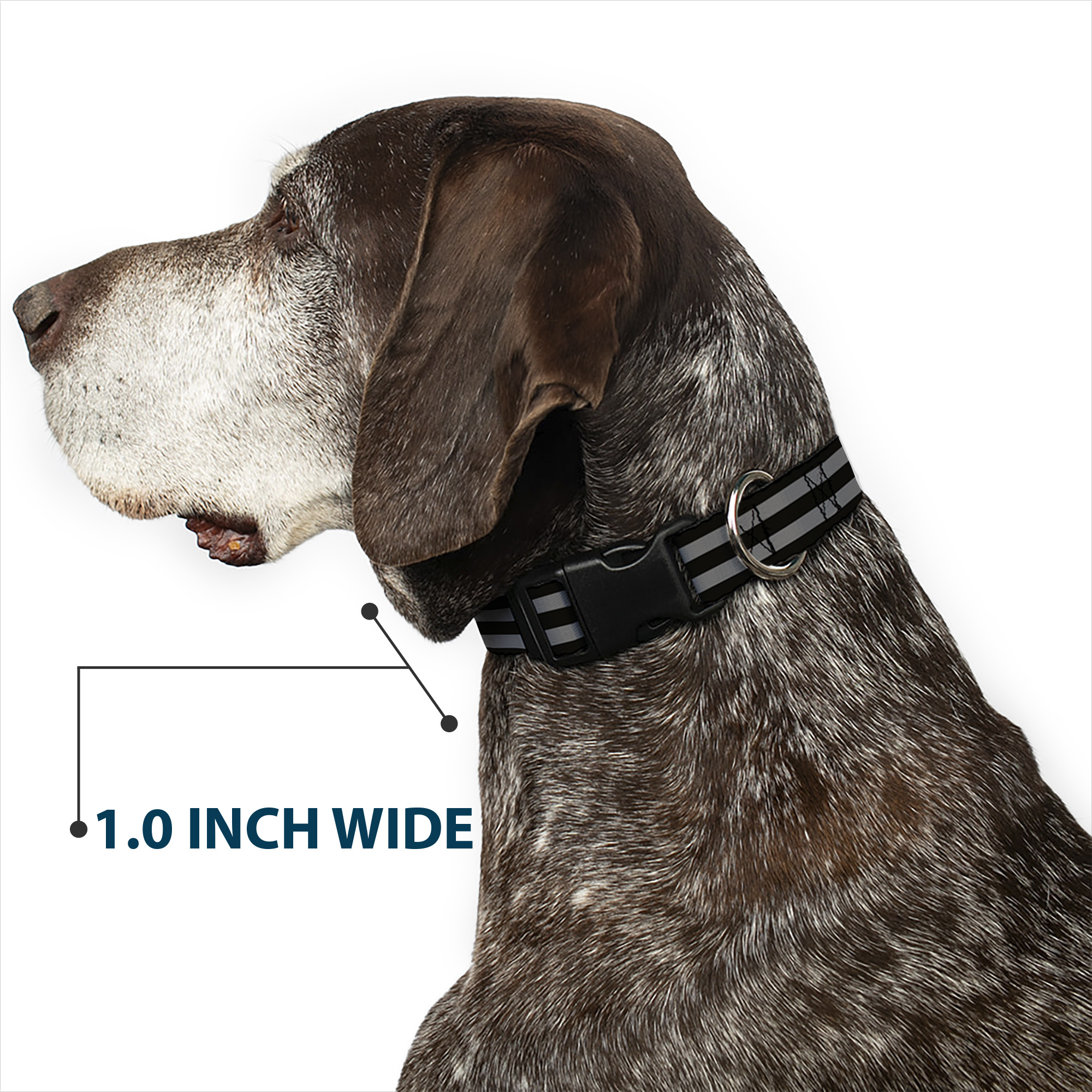 Plastic Clip Collar Stripes 3Black/2Gray Large 15-24"