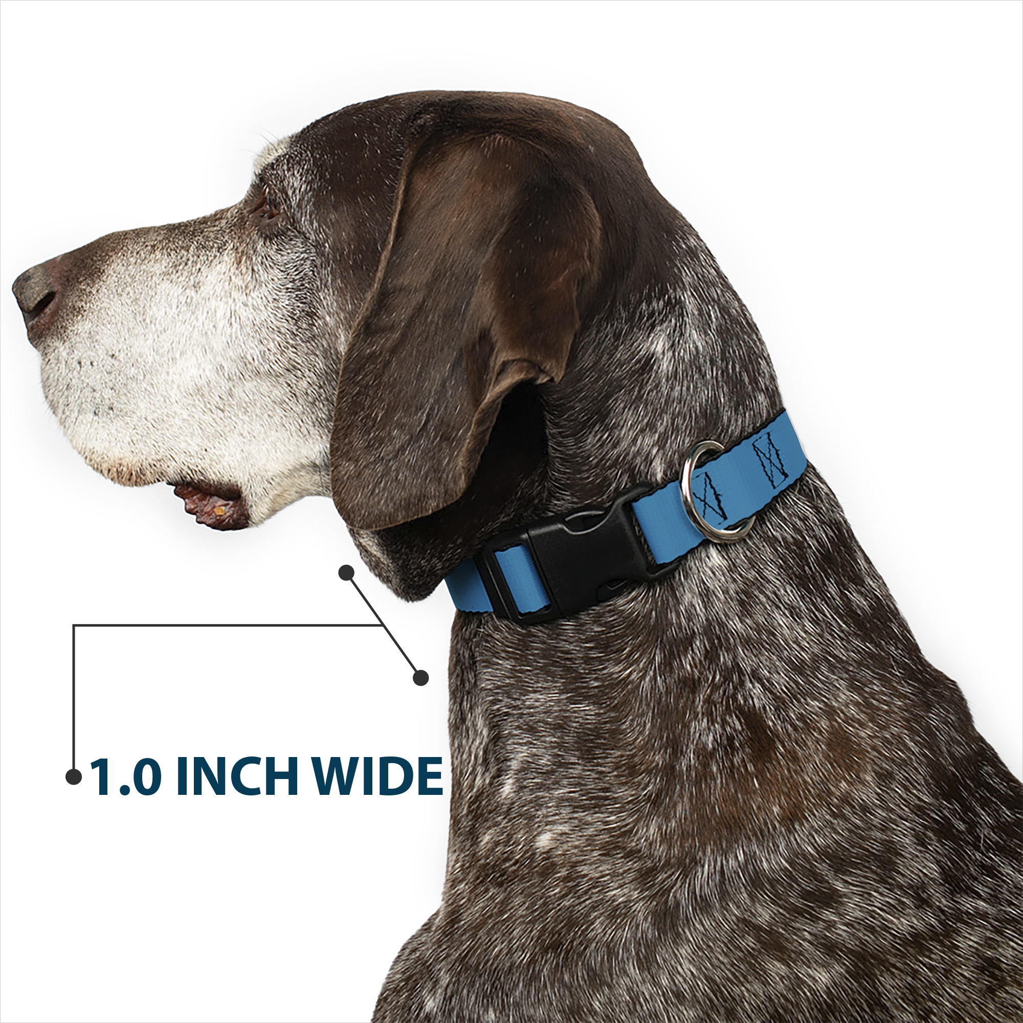 Plastic Clip Collar Vivid Turquoise NARROW-Medium 8.5-12"