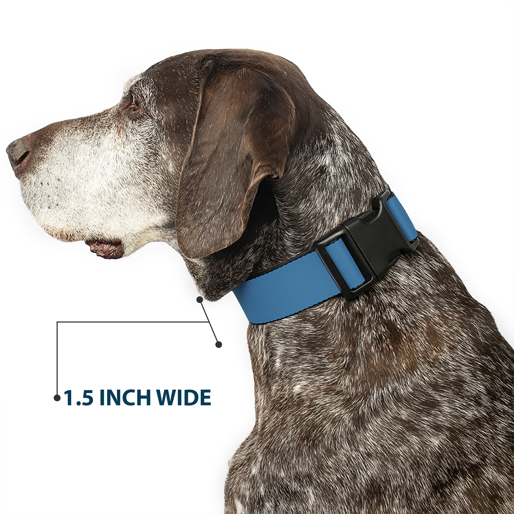Plastic Clip Collar Vivid Turquoise NARROW-Medium 8.5-12"