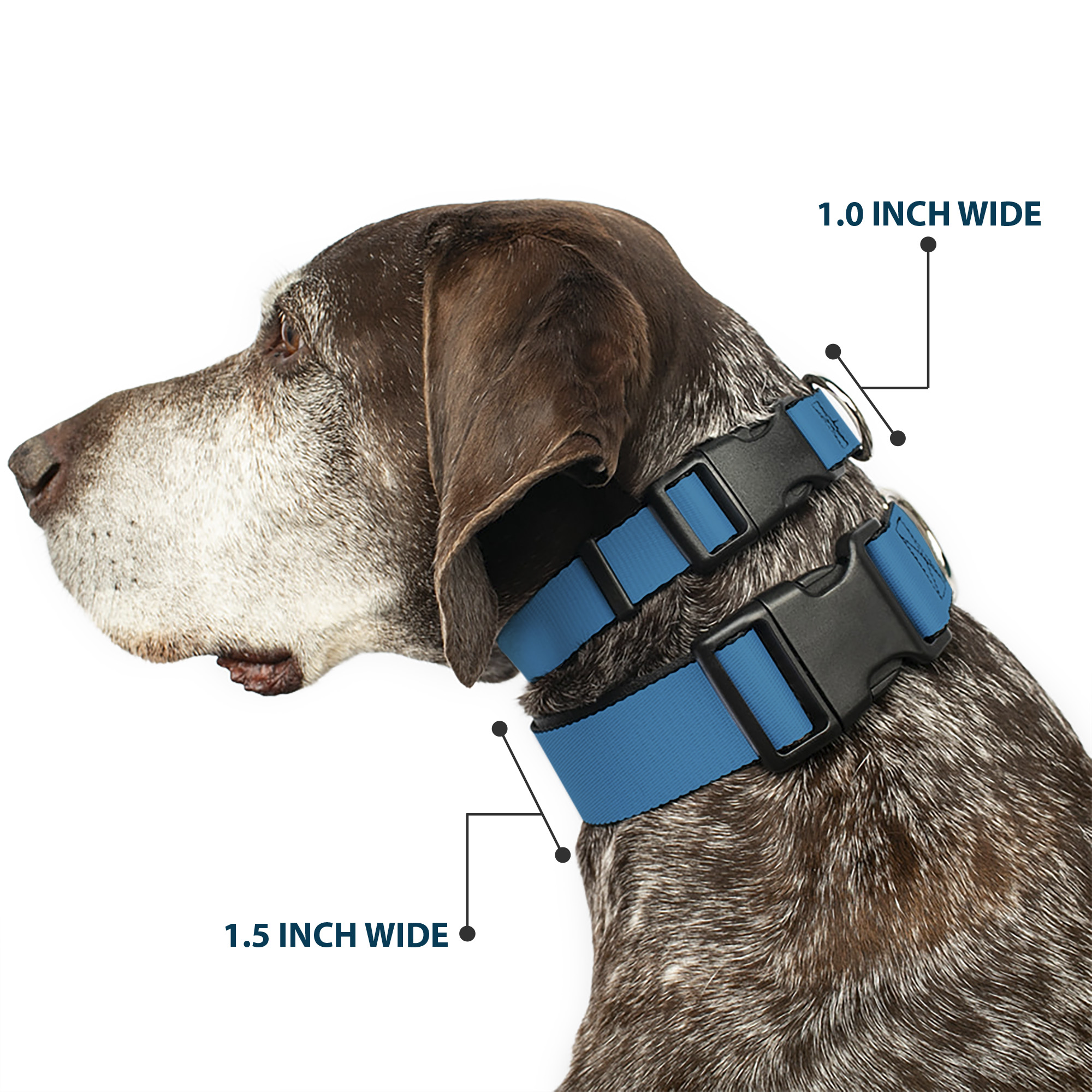 Plastic Clip Collar Vivid Turquoise NARROW-Medium 8.5-12"