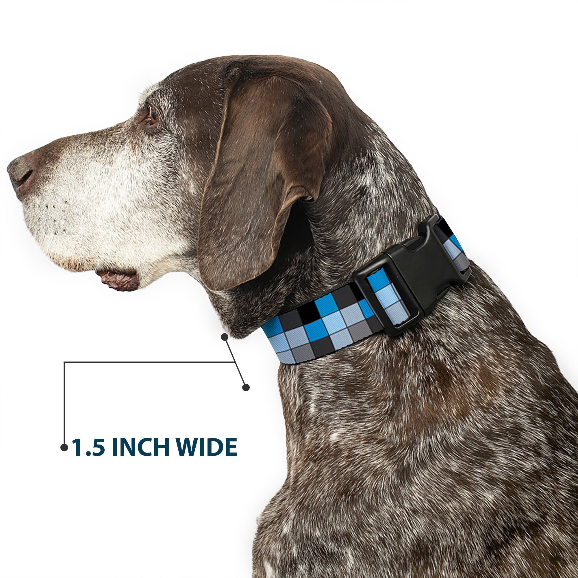 Plastic Clip Collar Checker Mosaic Blue Small 9.5-13"