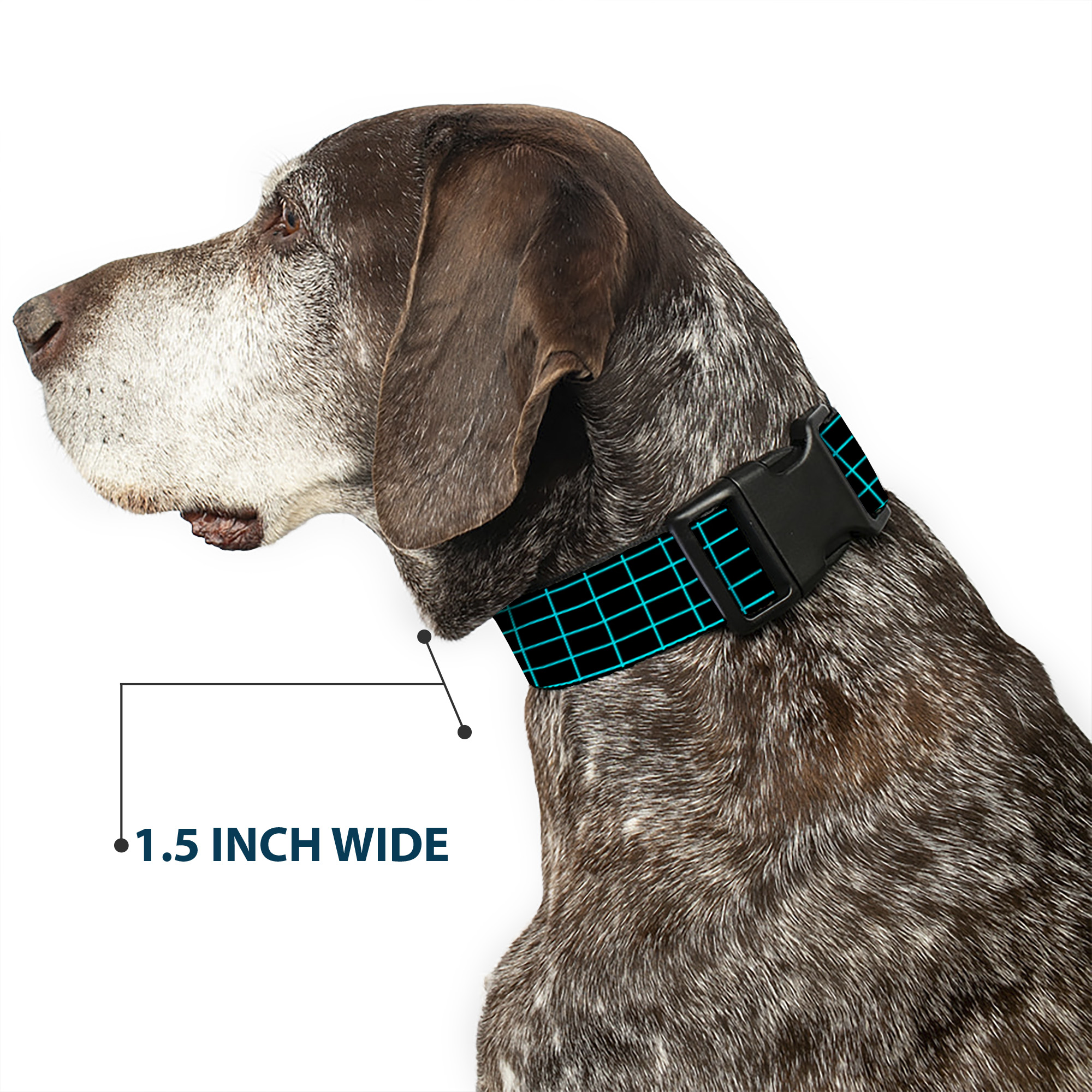 Plastic Clip Collar Wire Grid Black/Blue Large 15-24"