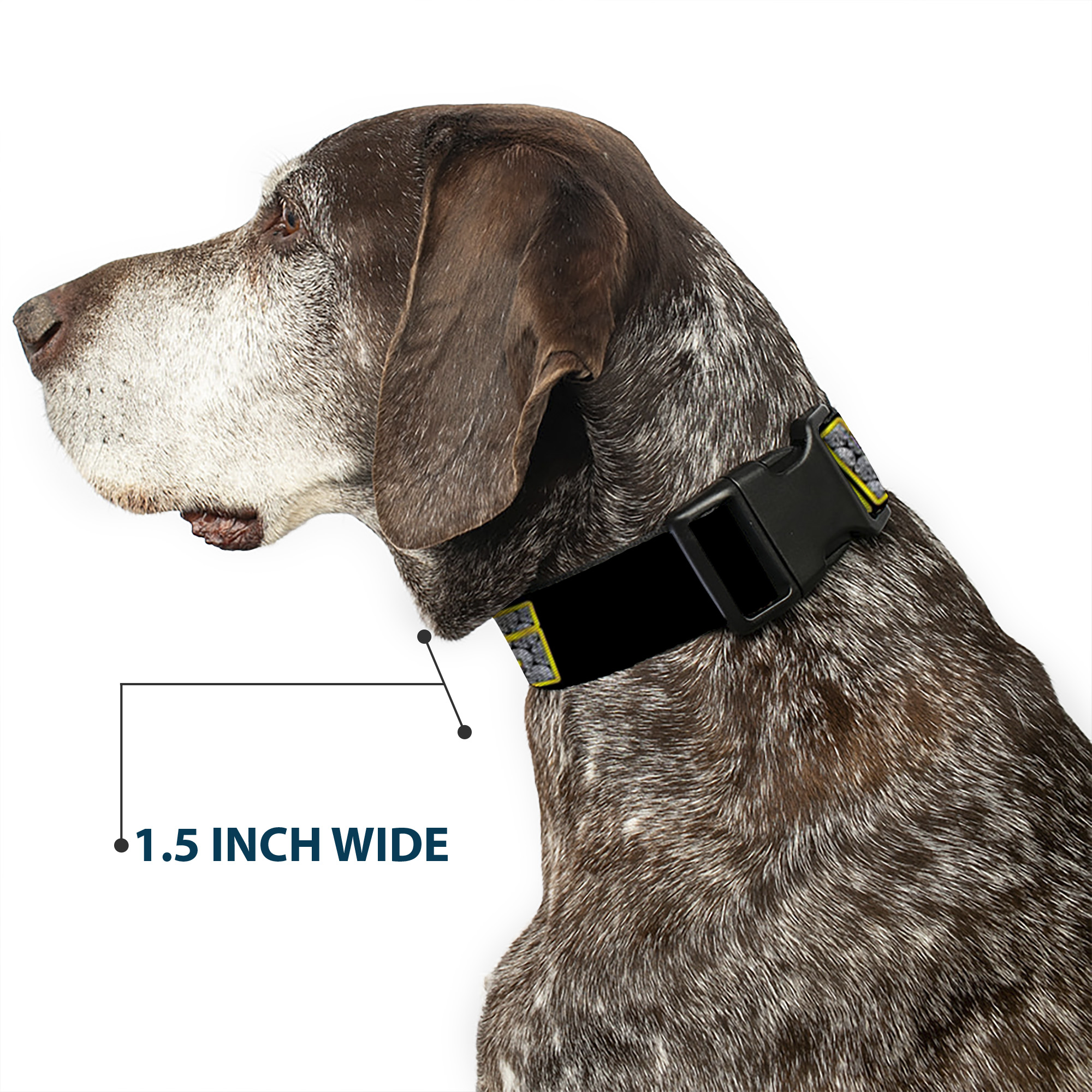 Plastic Clip Collar SWAG Black/Bling Large 15-24"
