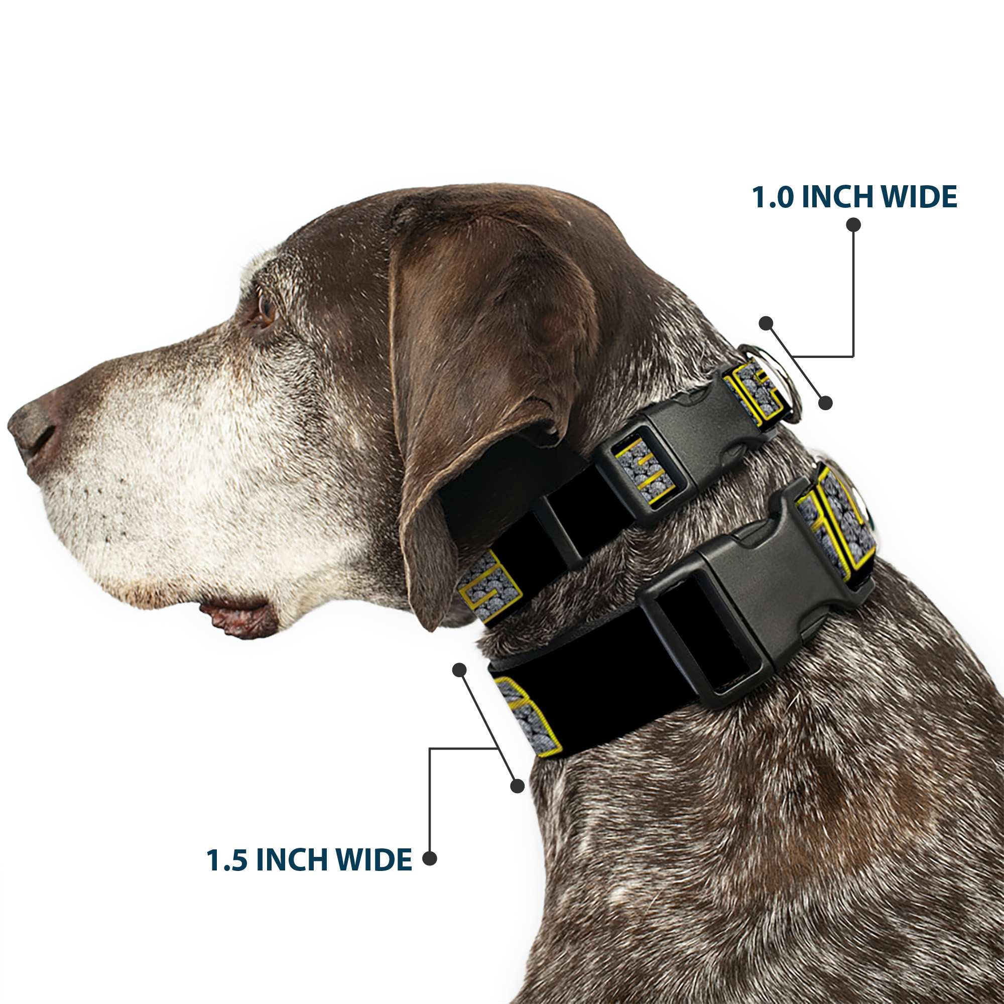 Plastic Clip Collar SWAG Black/Bling Large 15-24"