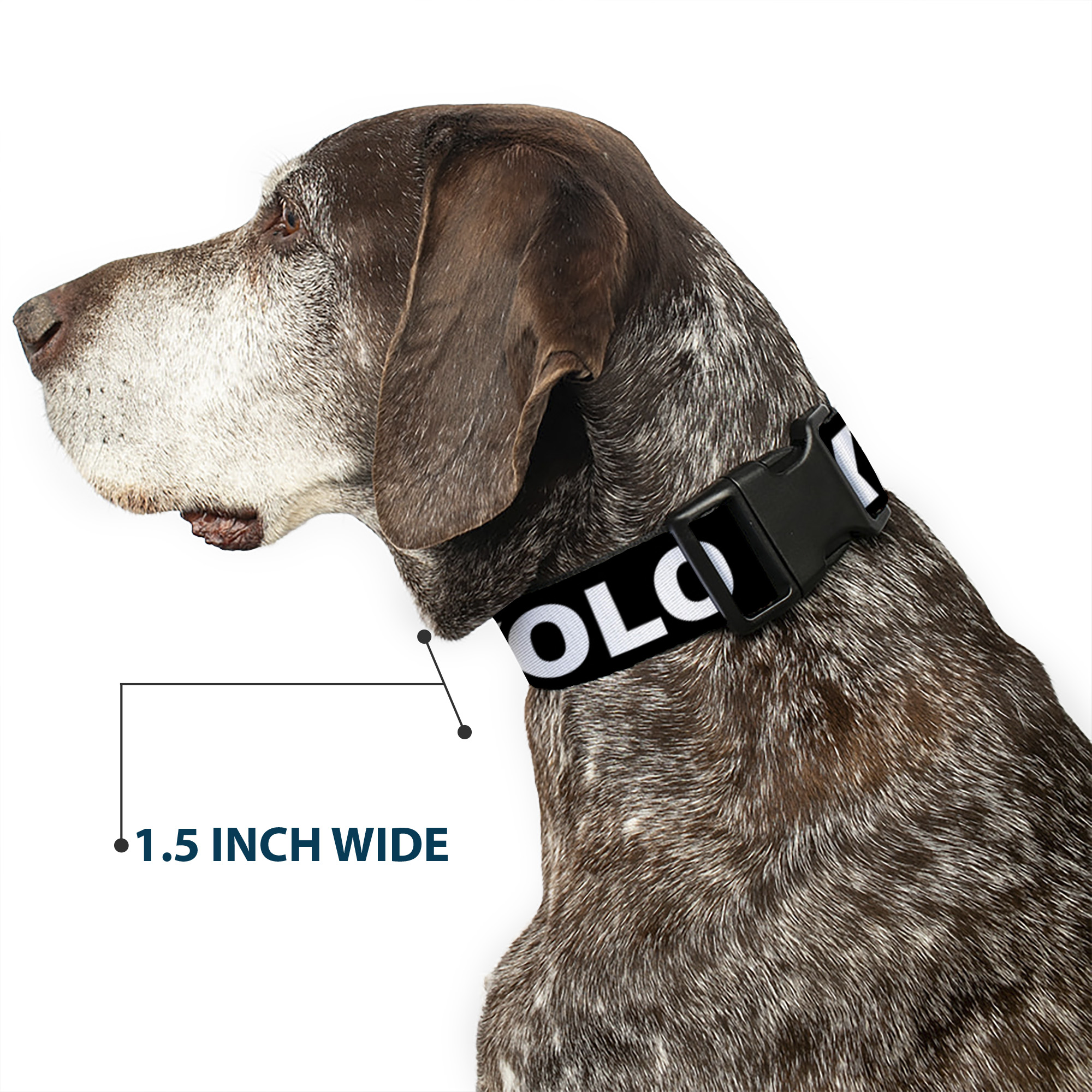 Plastic Clip Collar YOLO Black/White Small 9.5-13"