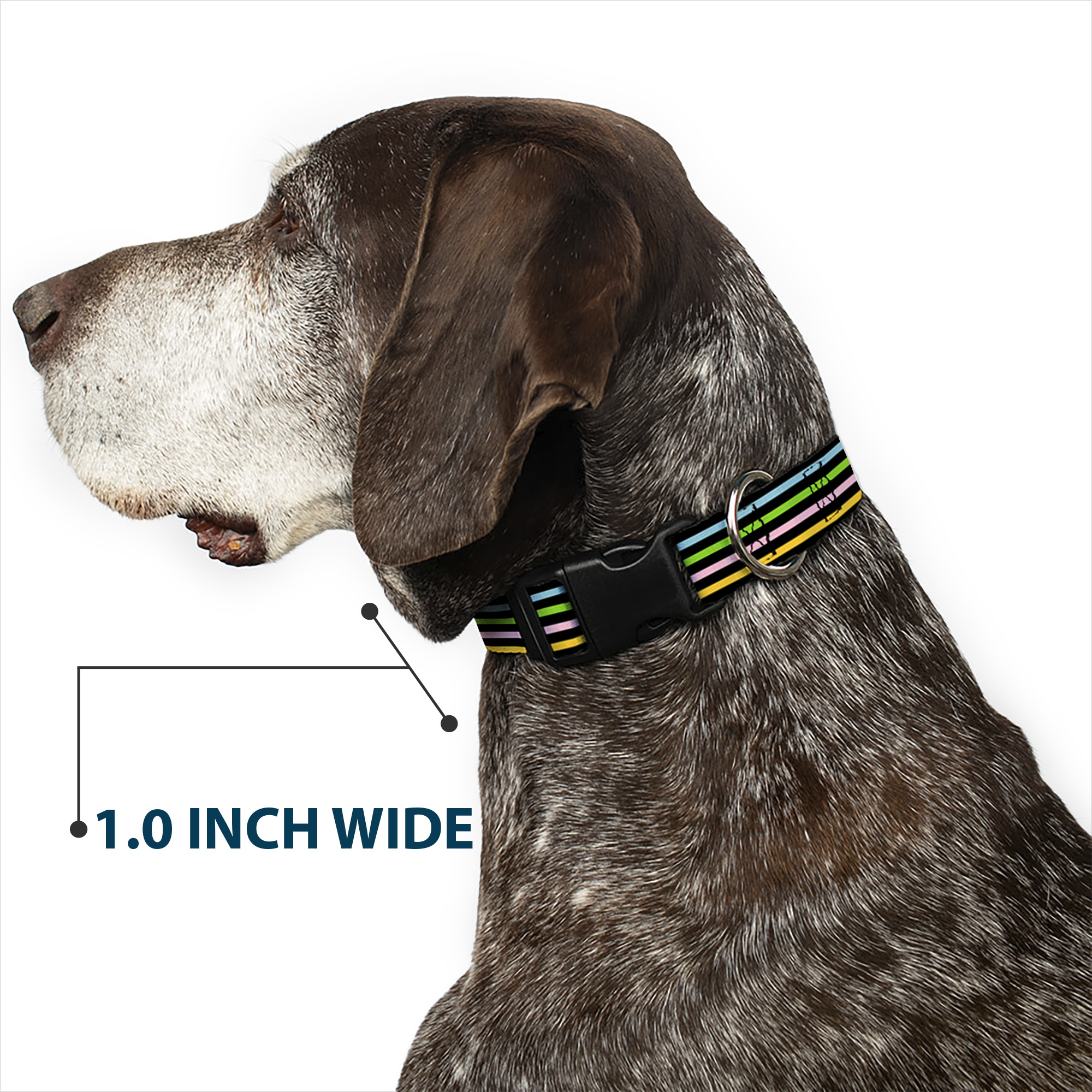 Plastic Clip Collar Stripe Blocks Black/Multi Pastel Large 15-24"
