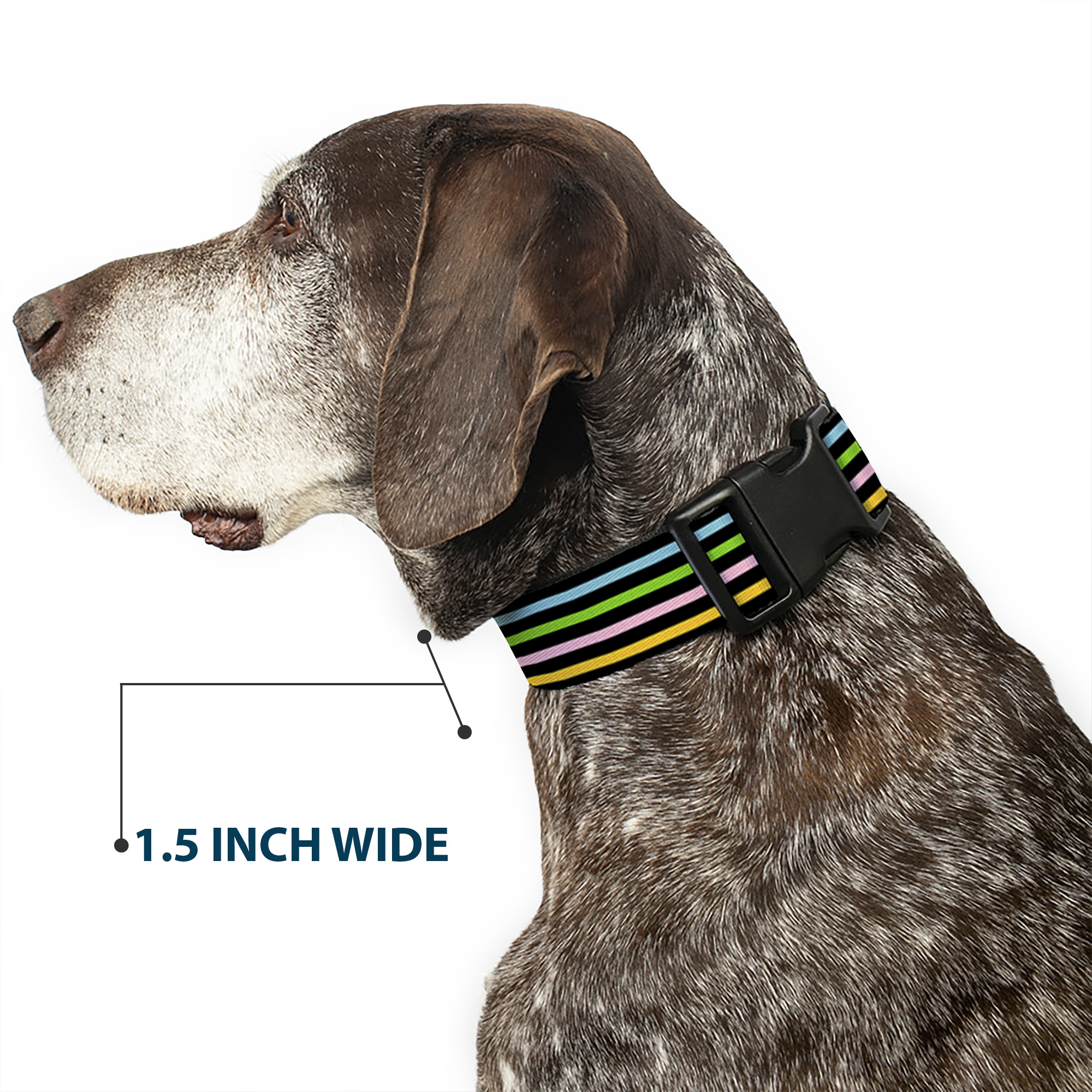 Plastic Clip Collar Stripe Blocks Black/Multi Pastel Large 15-24"
