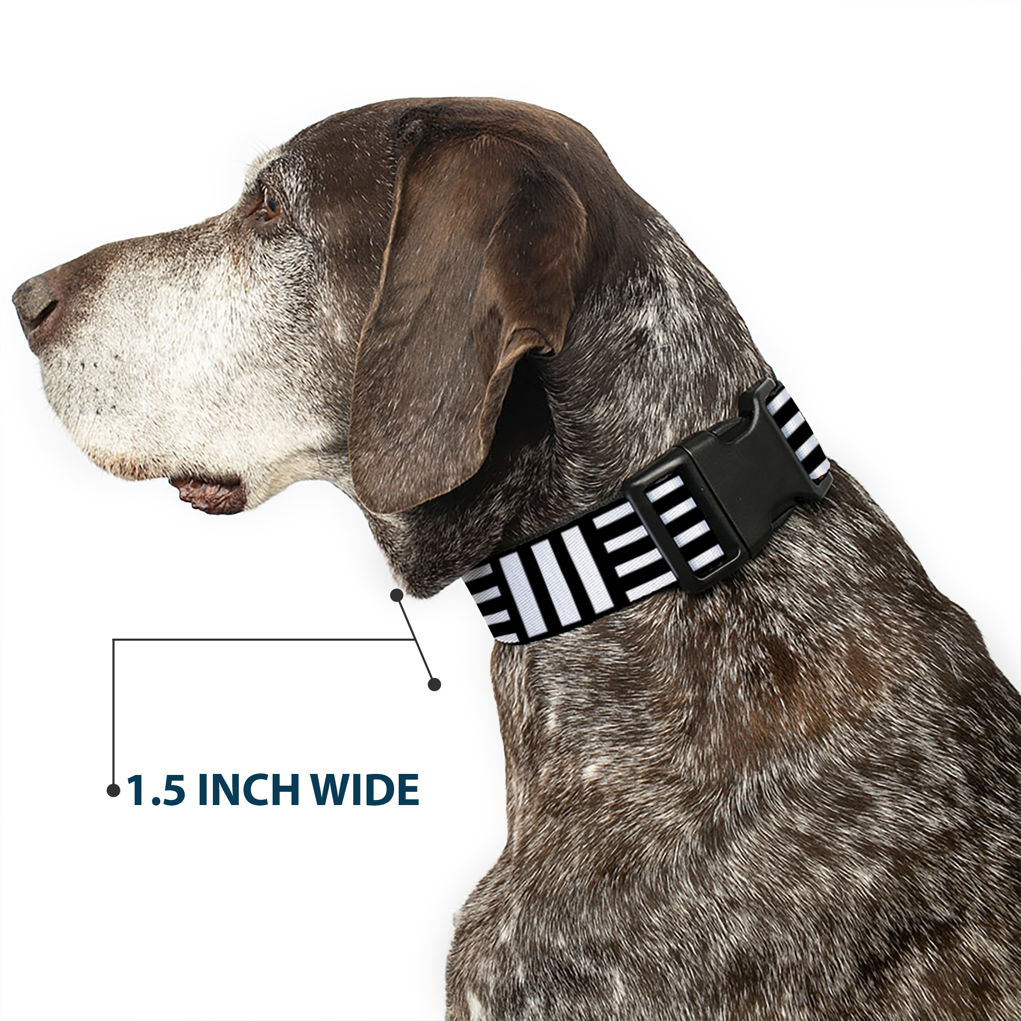 Plastic Clip Collar Stripe Blocks Black/White Small 9.5-13"