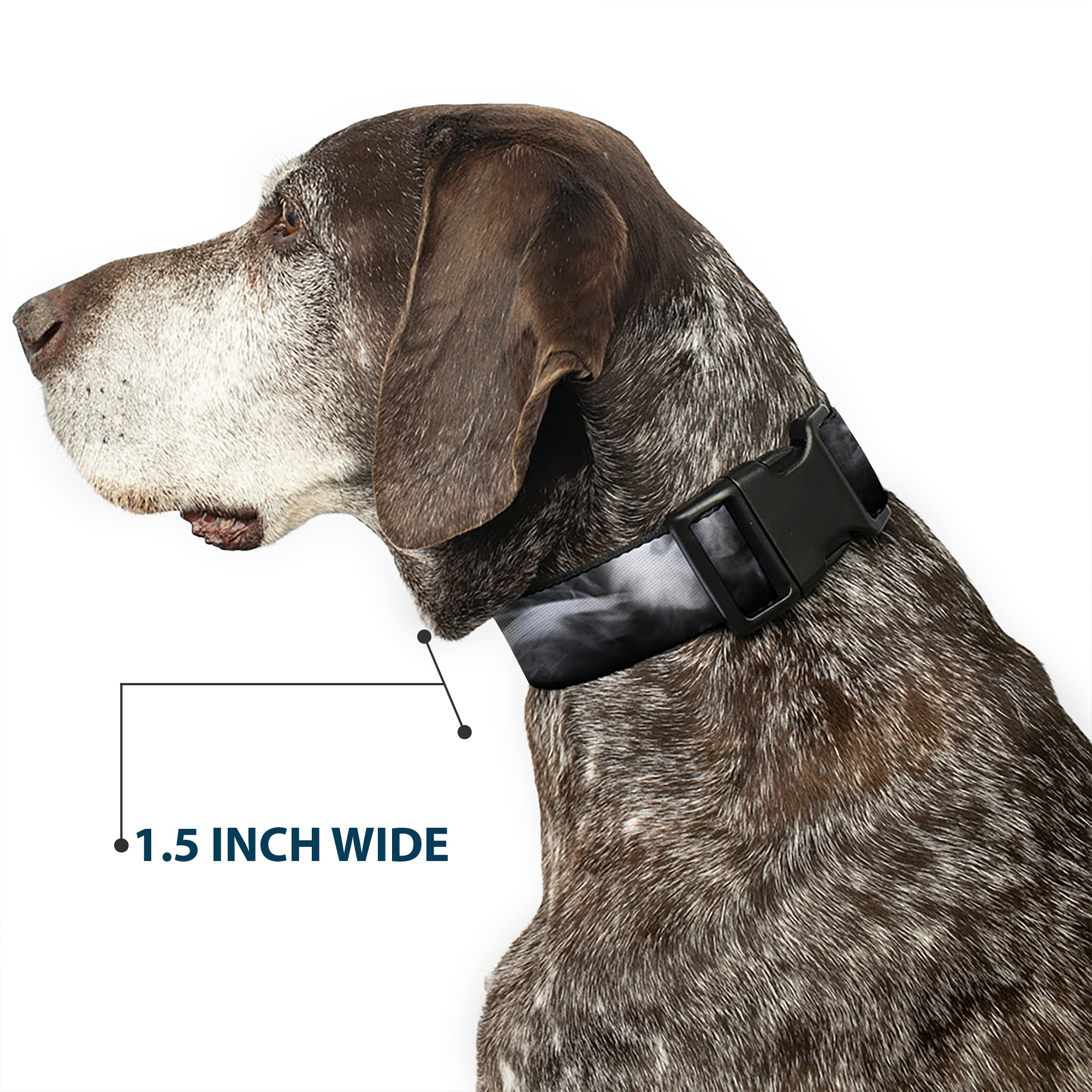 Plastic Clip Collar Smoke Black/Grays NARROW-Medium 8.5-12"