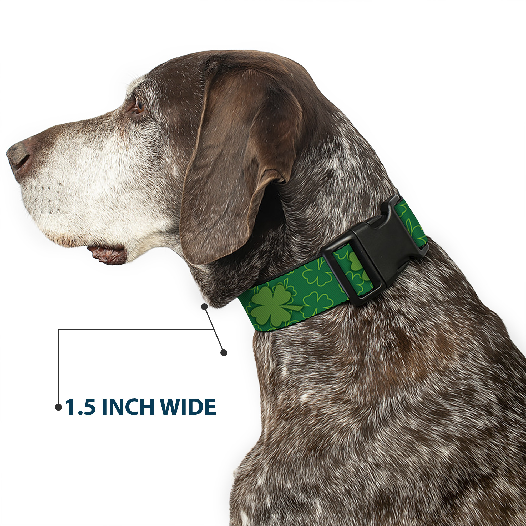Plastic Clip Collar St. Pat's Clovers Scattered2 Outline/Solid Greens Small 9.5-