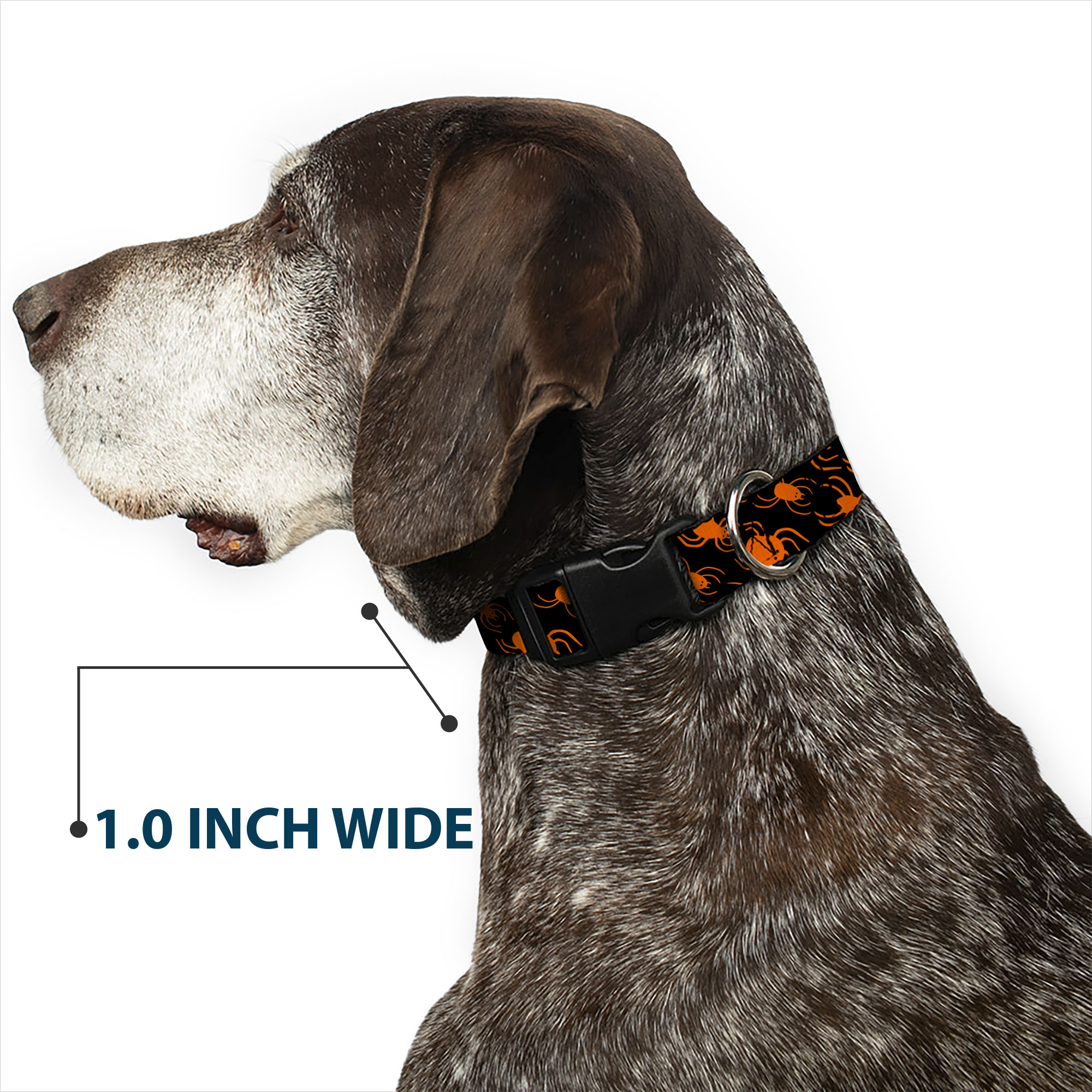 Plastic Clip Collar Spider Silhouettes Black/Orange Large 15-24"