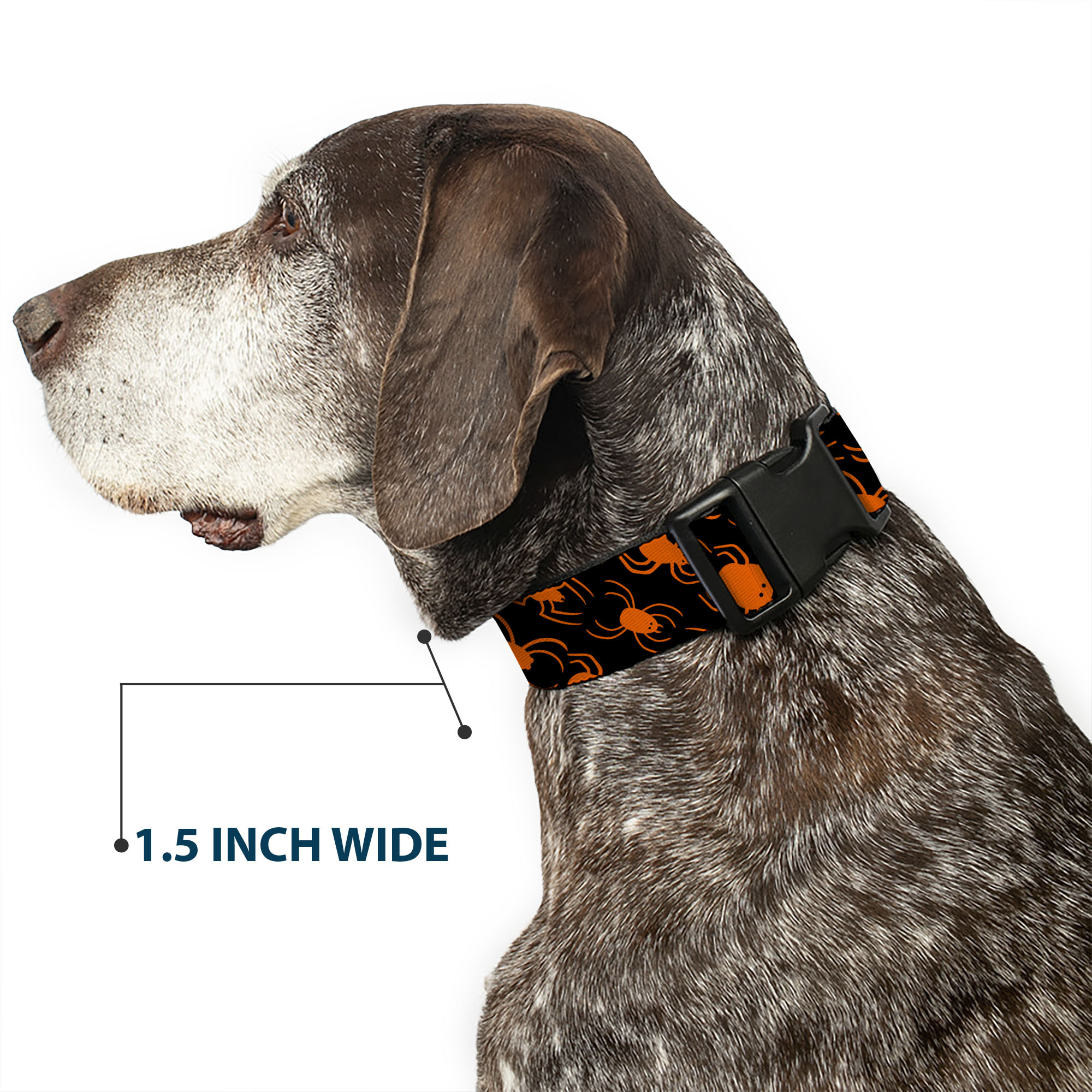 Plastic Clip Collar Spider Silhouettes Black/Orange Large 15-24"