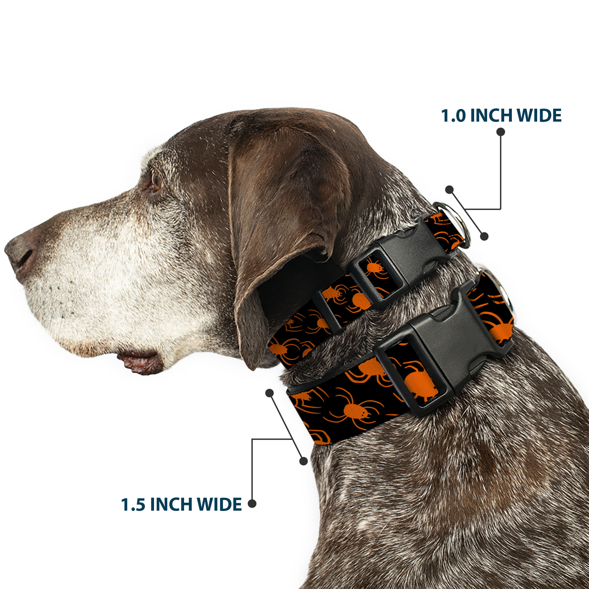 Plastic Clip Collar Spider Silhouettes Black/Orange Large 15-24"