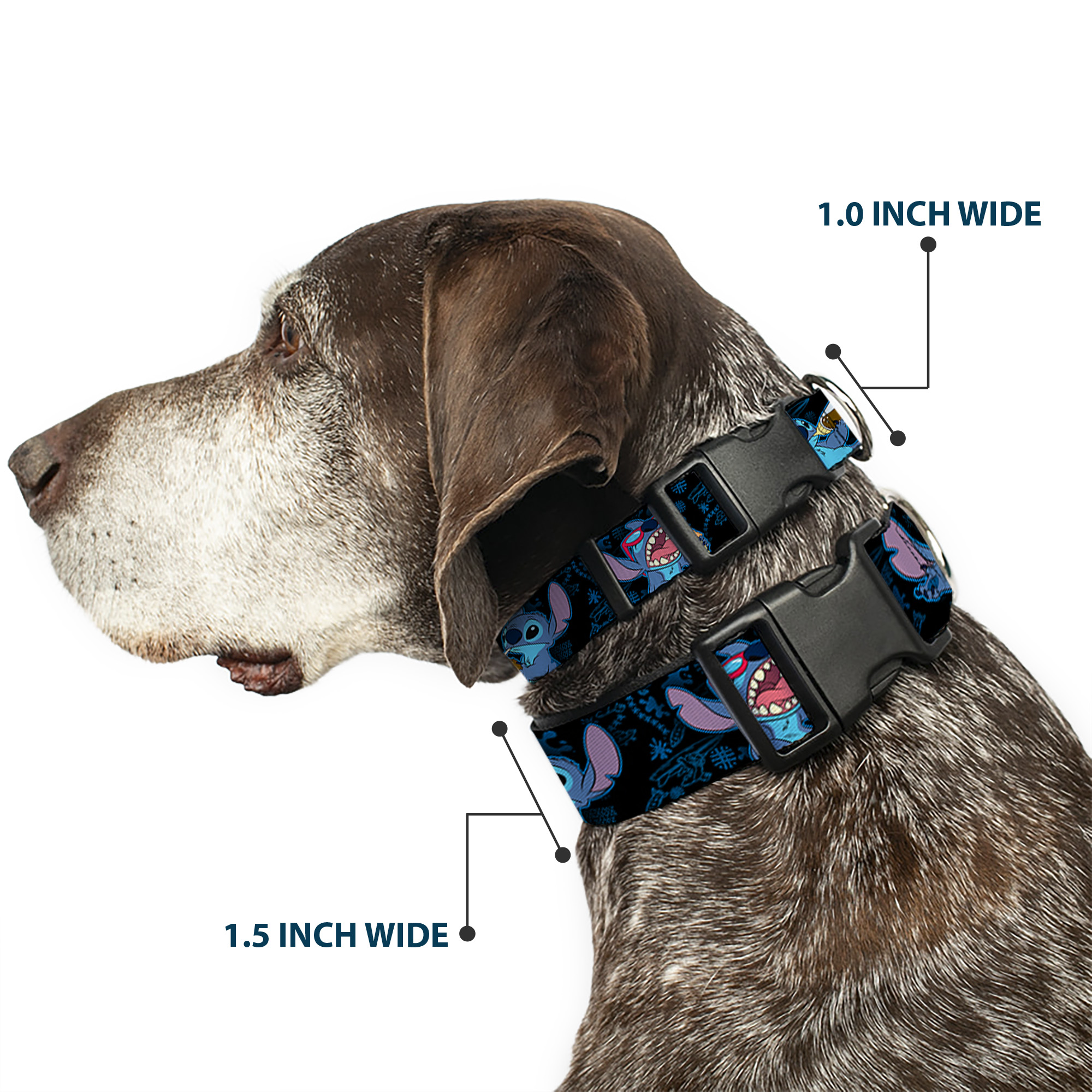 Plastic Clip Collar Stitch Snacking Poses Black/Blue NARROW-Medium 8.5-12"