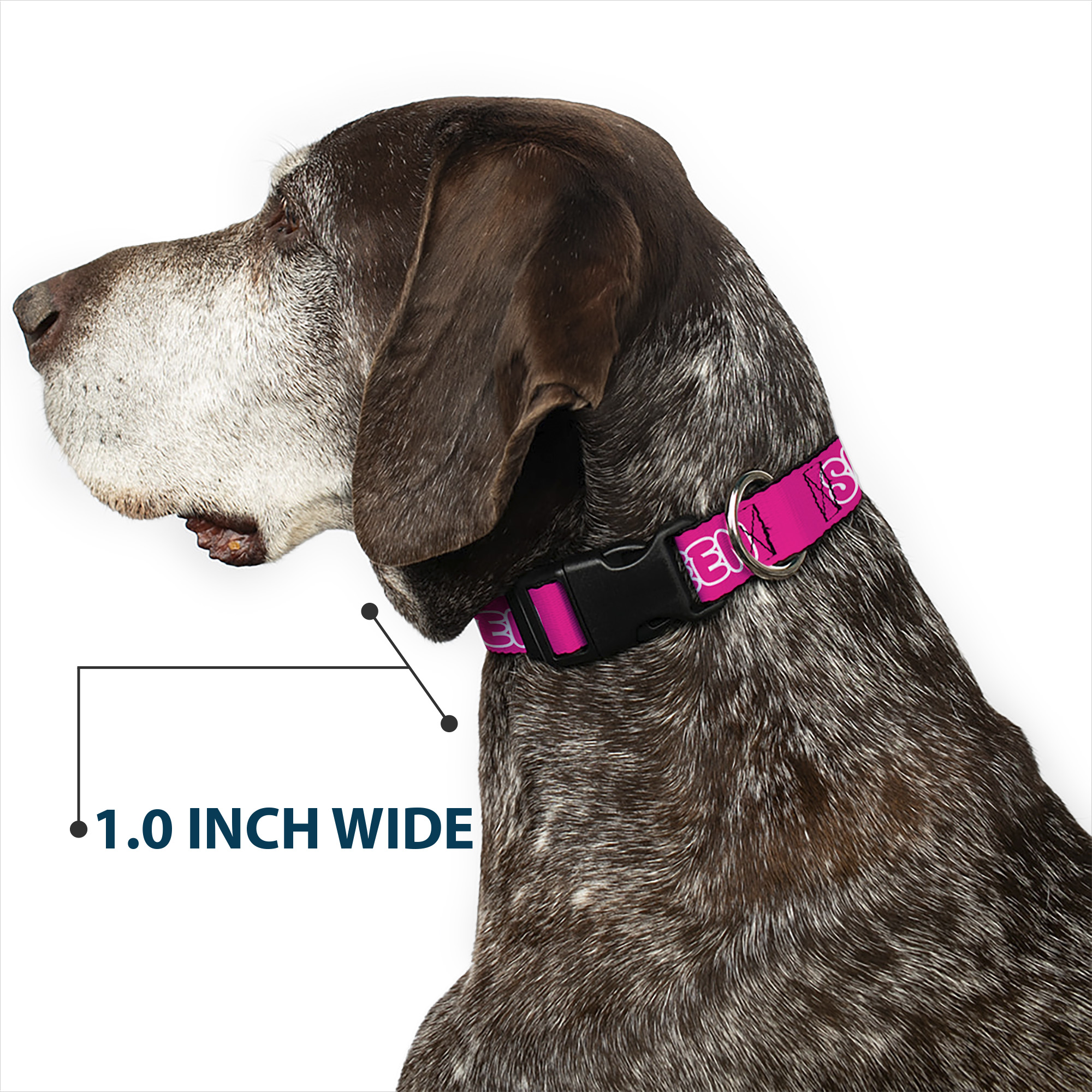 Plastic Clip Collar SLAY QUEEN Bubble Text Pink/White NARROW-Medium 8.5-12"