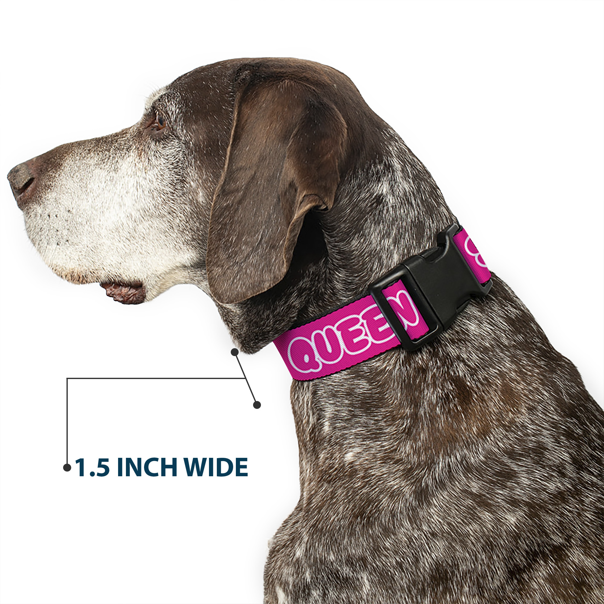 Plastic Clip Collar SLAY QUEEN Bubble Text Pink/White NARROW-Medium 8.5-12"