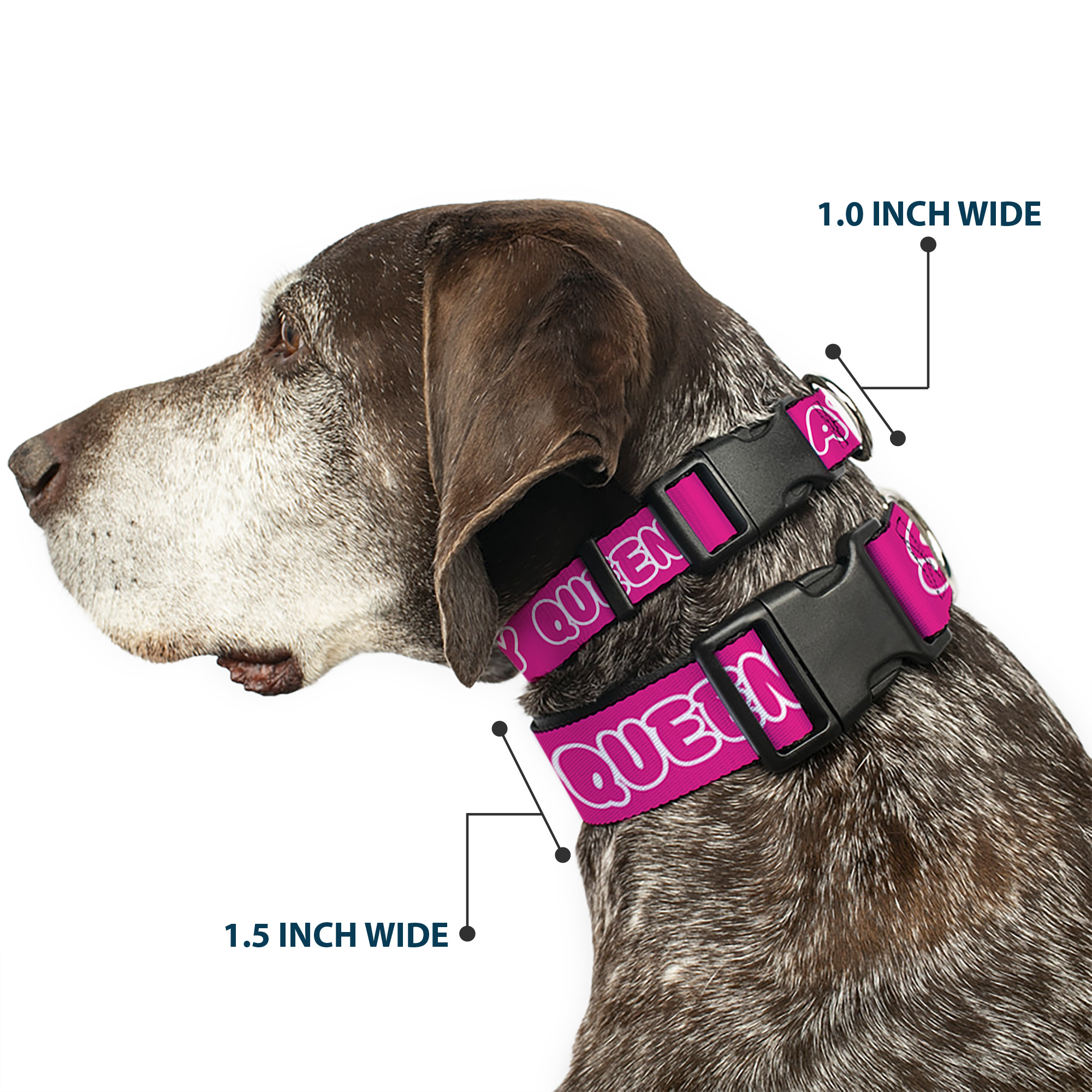 Plastic Clip Collar SLAY QUEEN Bubble Text Pink/White NARROW-Medium 8.5-12"