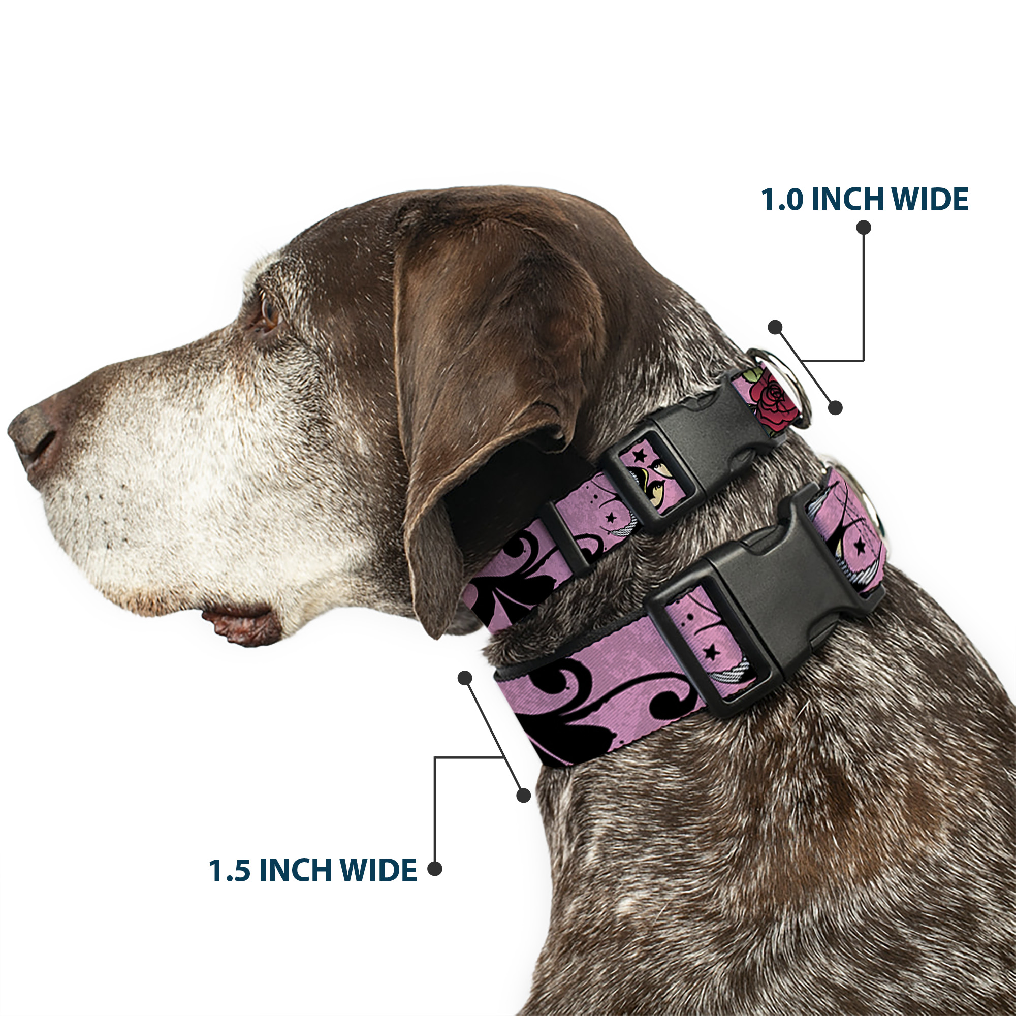 Plastic Clip Collar Mom & Dad CLOSE-UP Pink w/Sparrows Medium 11-16. (US IMPORT) - Produktbild 2