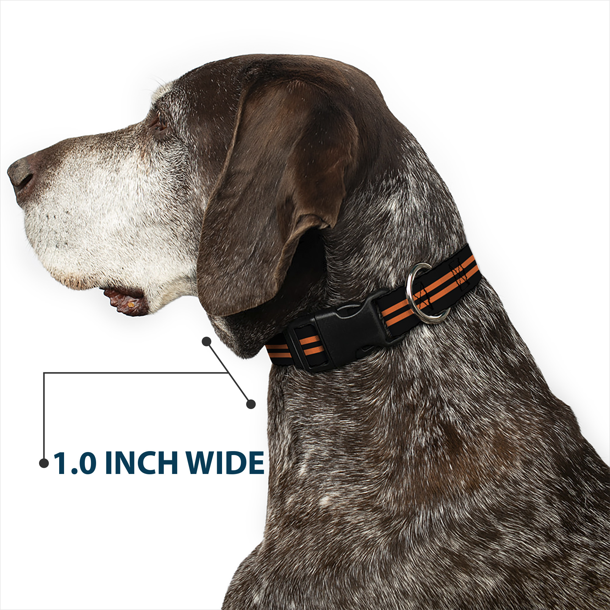 Plastic Clip Collar Stripe Black/Orange WIDE-Large 20-31"