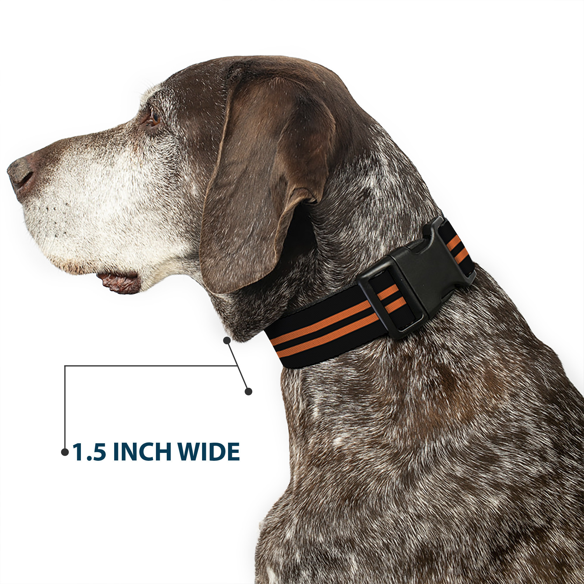 Plastic Clip Collar Stripe Black/Orange WIDE-Large 20-31"