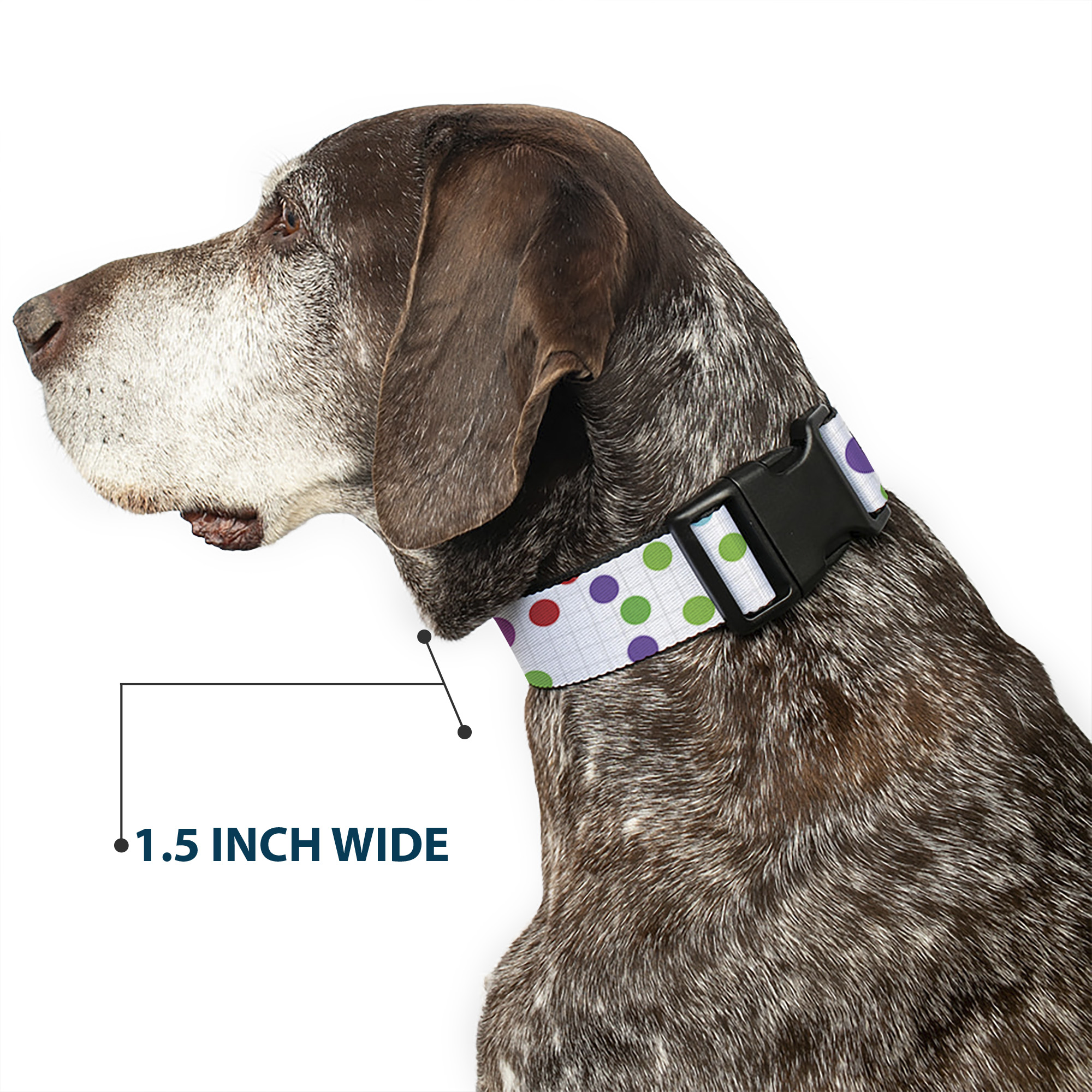 Plastic Clip Collar Dots/Grid White/Gray/Multi Color WIDE-Large 20-31"