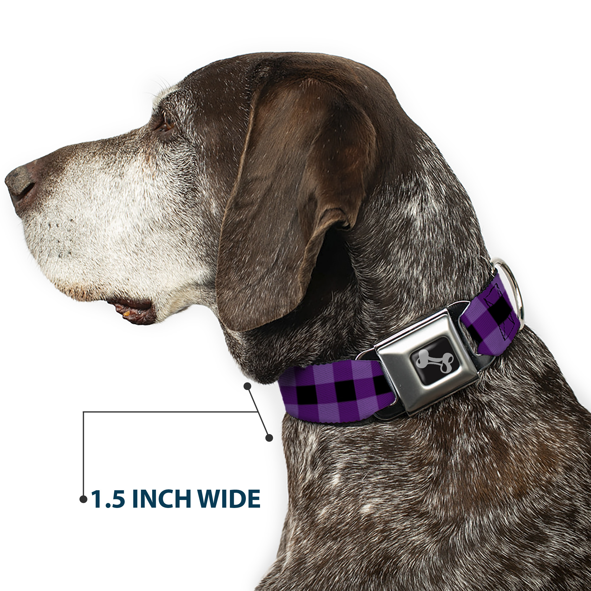 Dog Collar Bone Buffalo Plaid Black/Purple Large 15-24