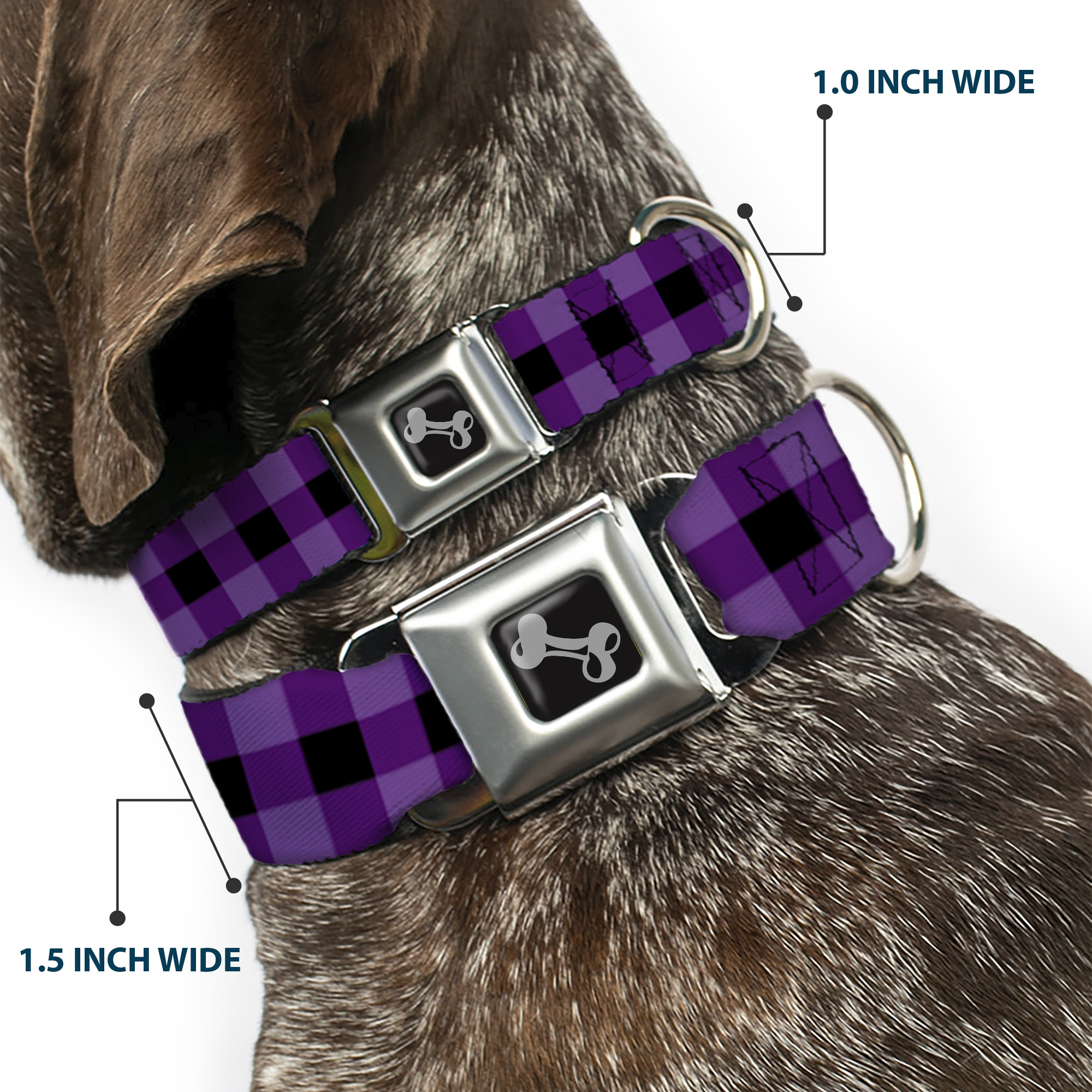 Dog Collar Bone Buffalo Plaid Black/Purple Large 15-24
