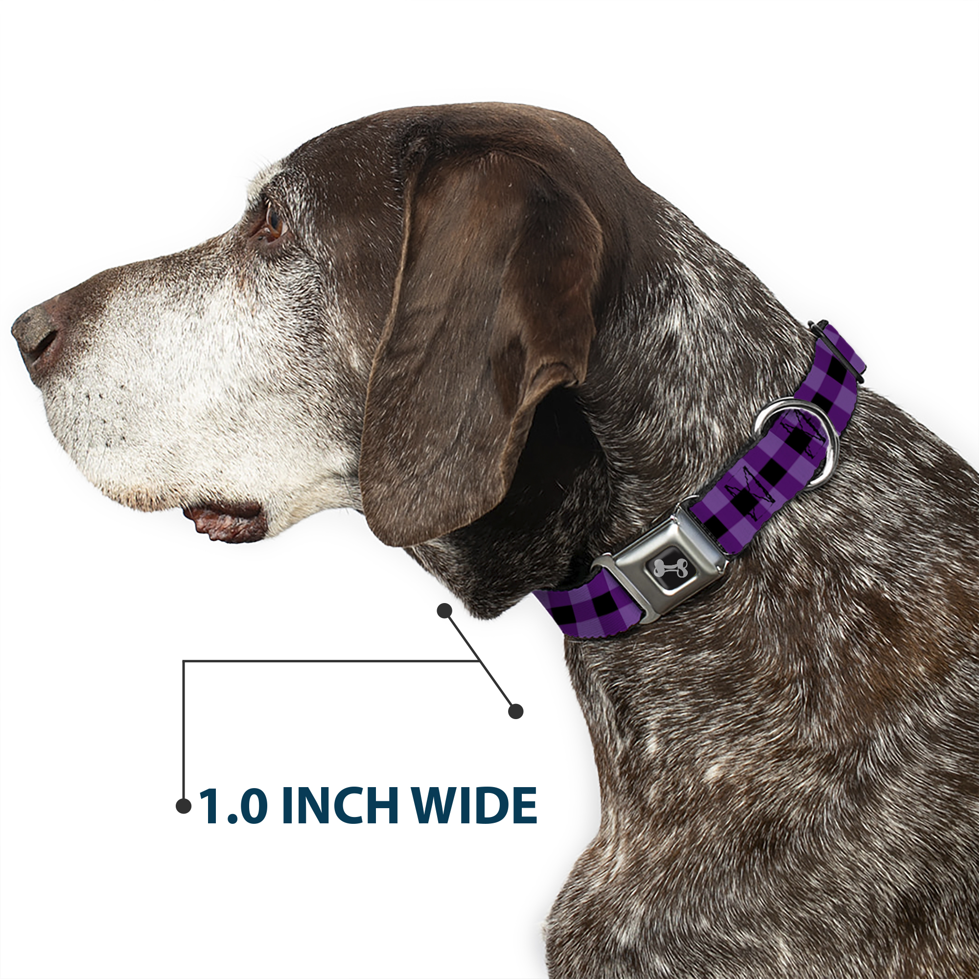 Dog Collar Bone Buffalo Plaid Black/Purple Large 15-24