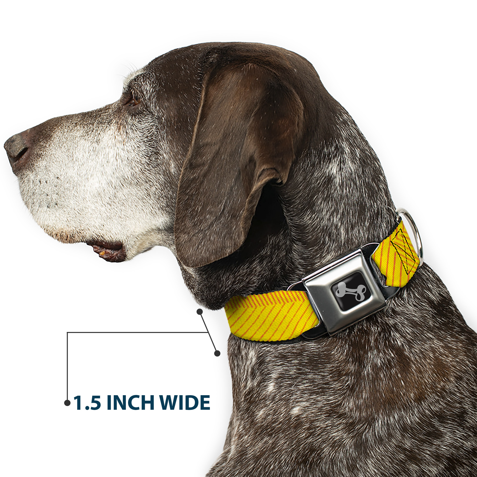 Dog Collar Bone Hash Mark Stripe Yellow/Red Large 15-24
