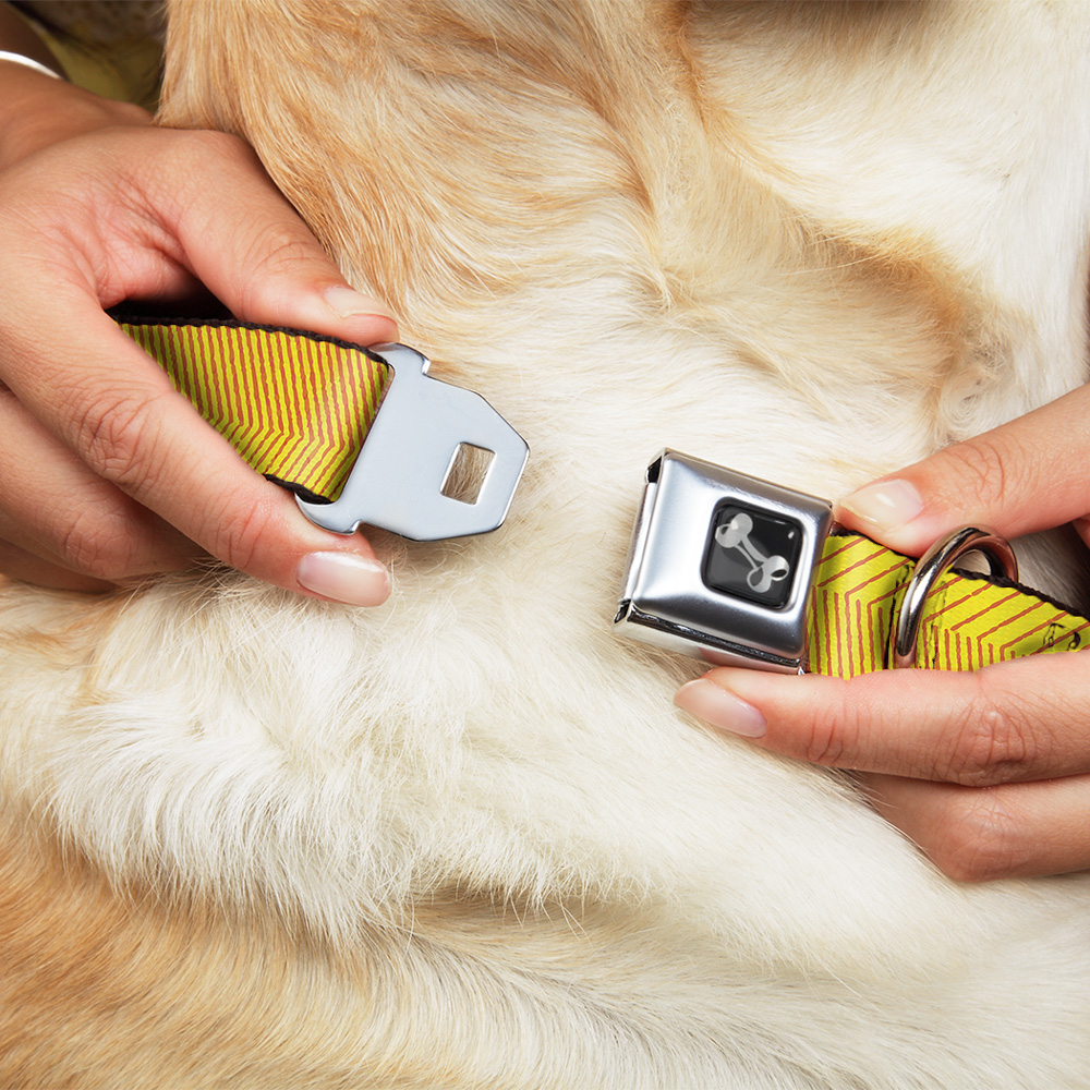 Dog Collar Bone Hash Mark Stripe Yellow/Red Large 15-24