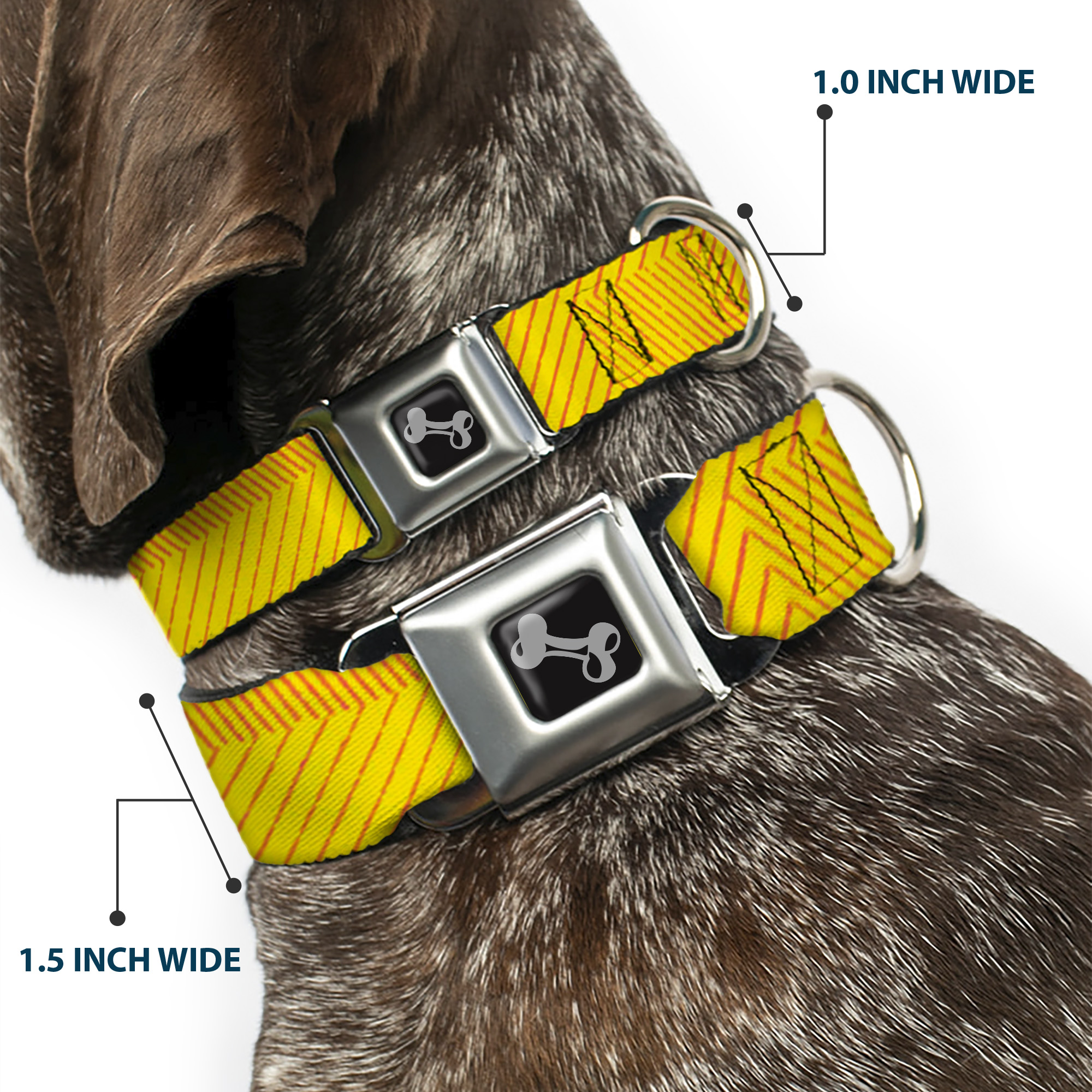 Dog Collar Bone Hash Mark Stripe Yellow/Red Large 15-24