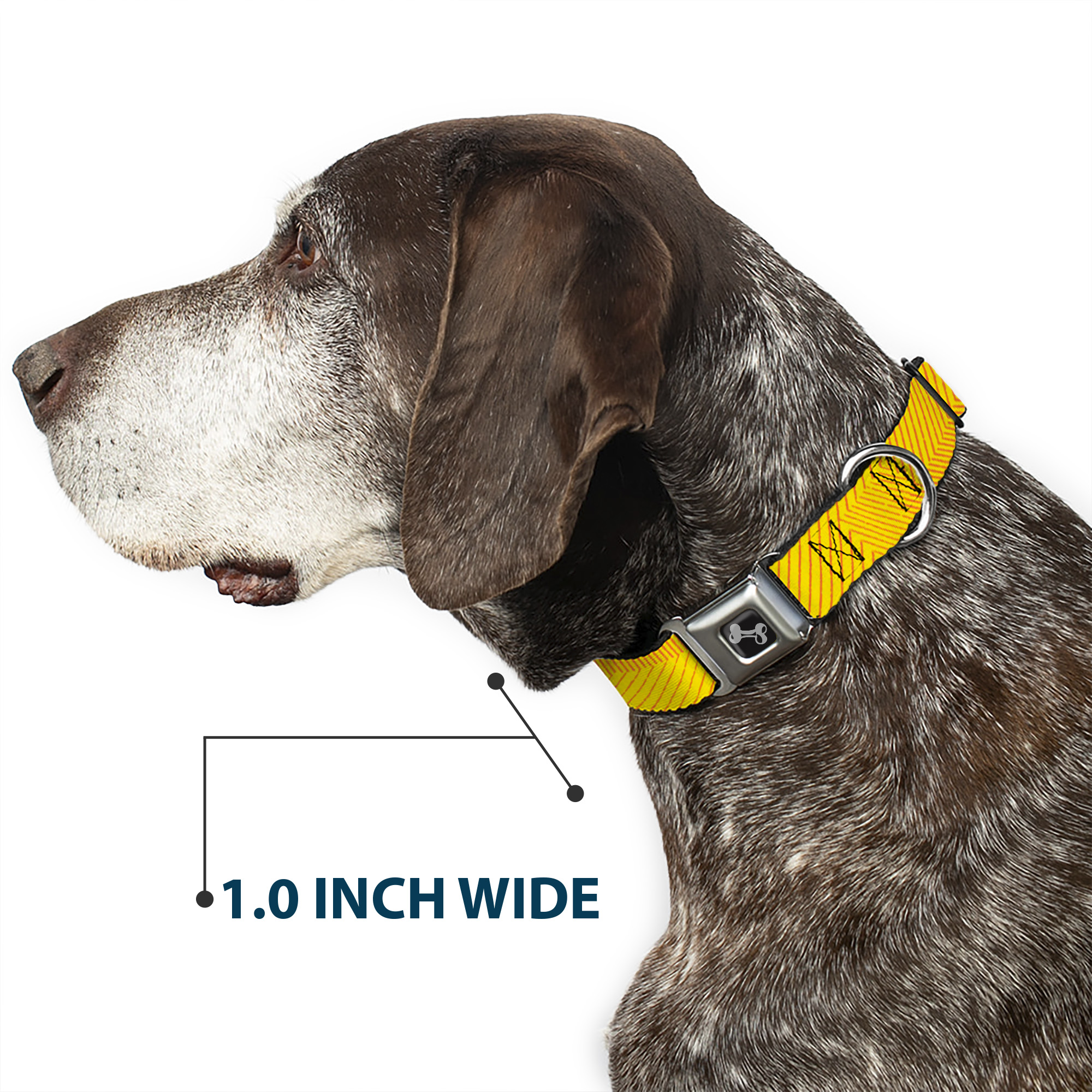Dog Collar Bone Hash Mark Stripe Yellow/Red Large 15-24