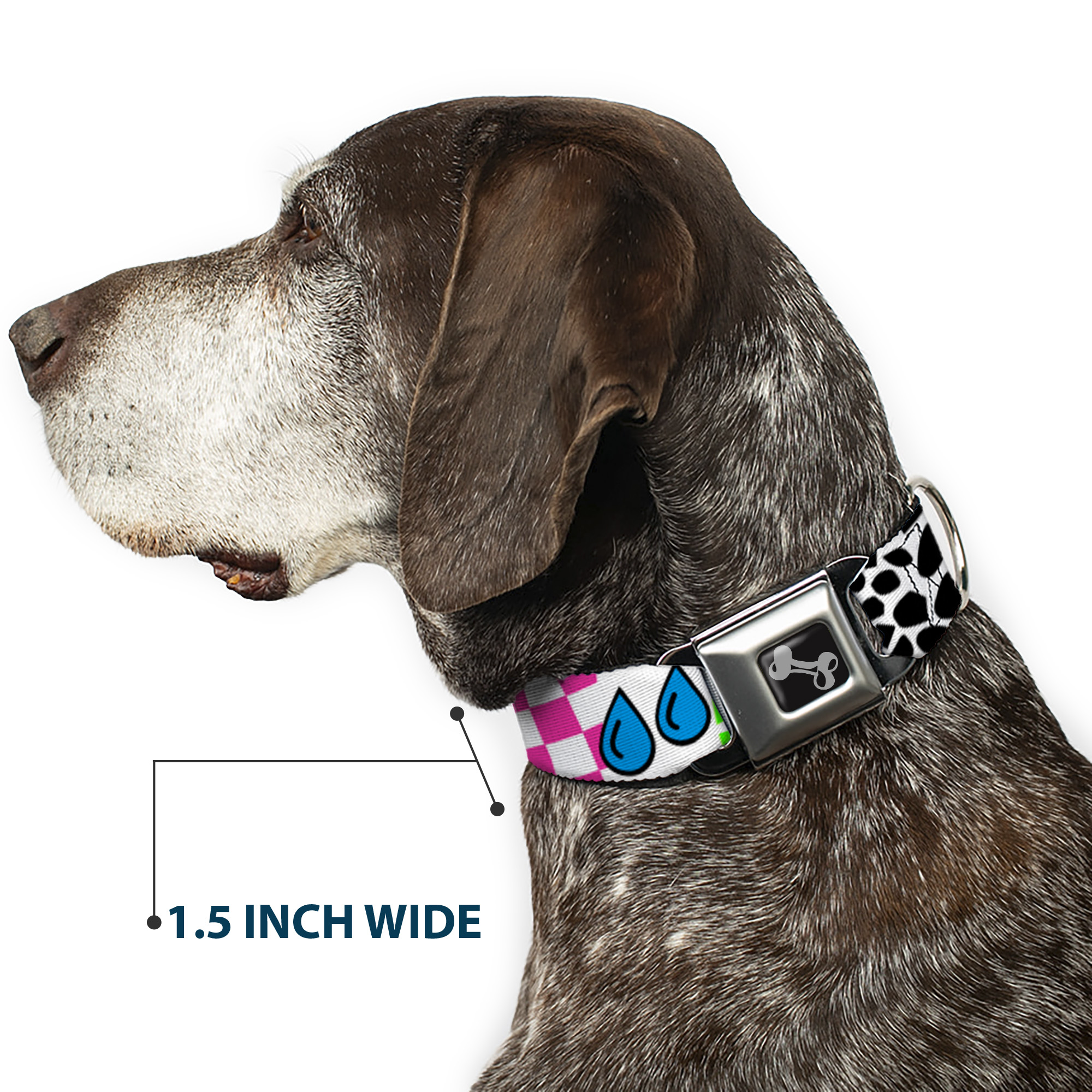 Dog Collar Bone Icons & Patterns 1 Large 15-24"