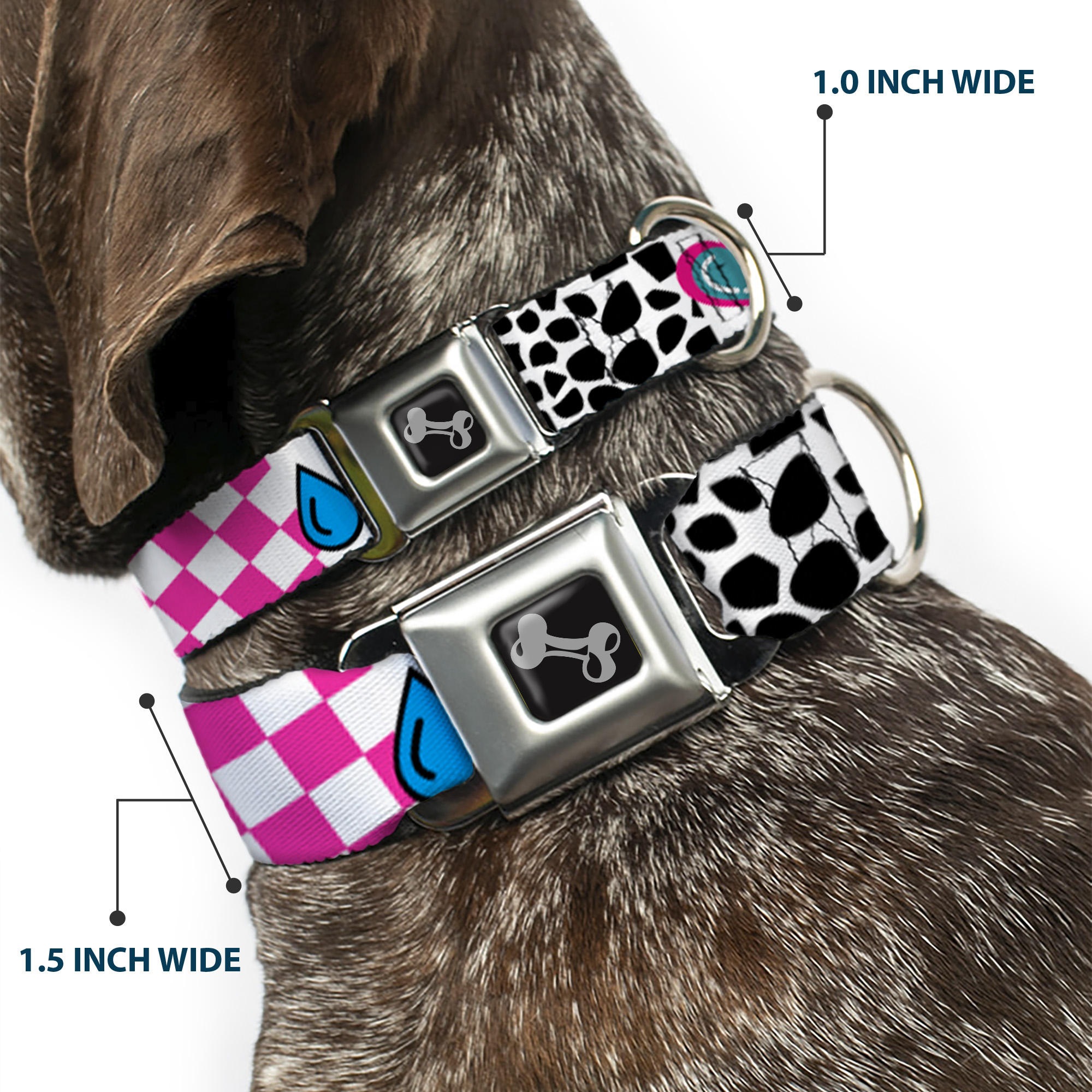 Dog Collar Bone Icons & Patterns 1 Large 15-24"