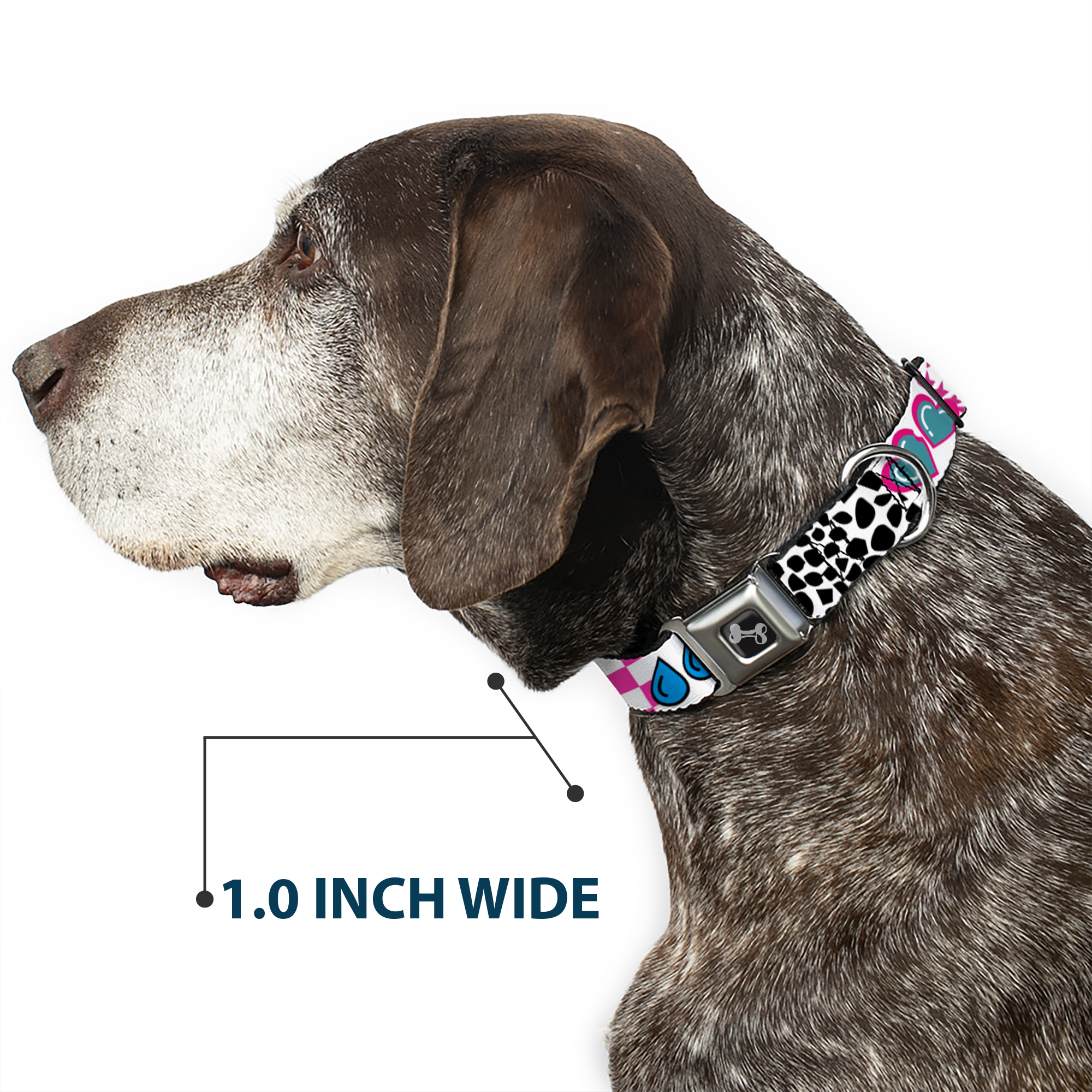 Dog Collar Bone Icons & Patterns 1 Large 15-24"