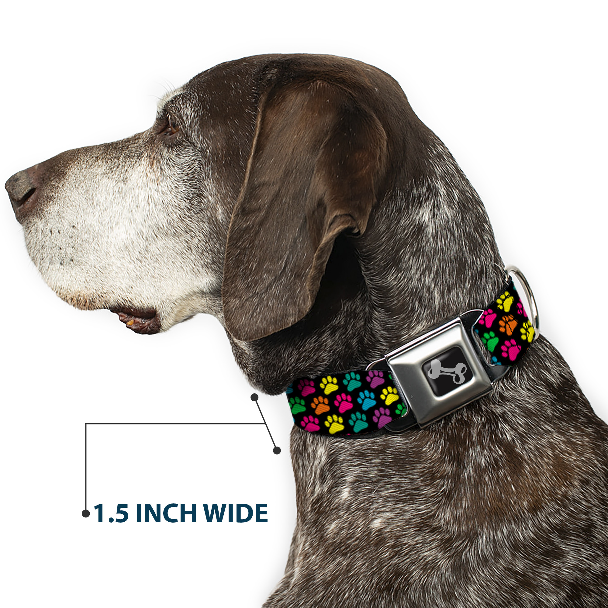 Dog Collar Bone Paw Print Black/Multi Color Medium 11-16.5"
