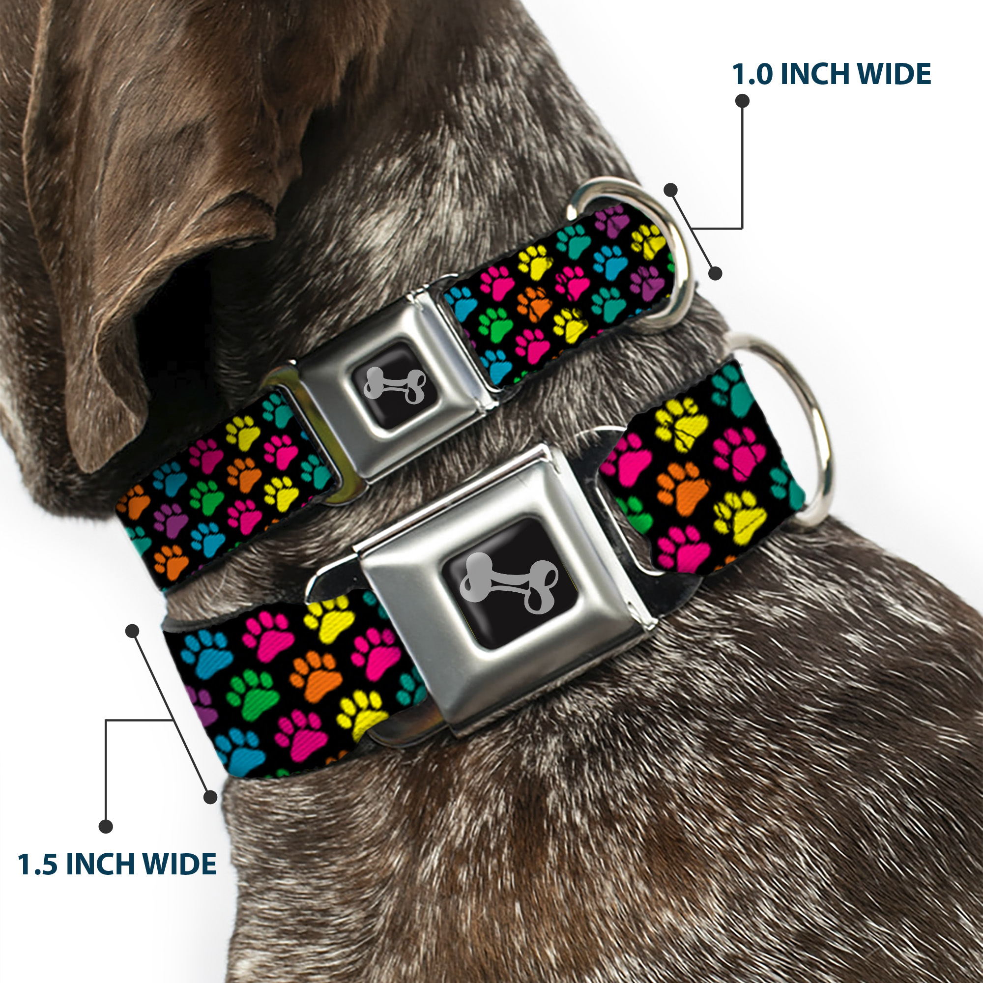 Dog Collar Bone Paw Print Black/Multi Color Medium 11-16.5"