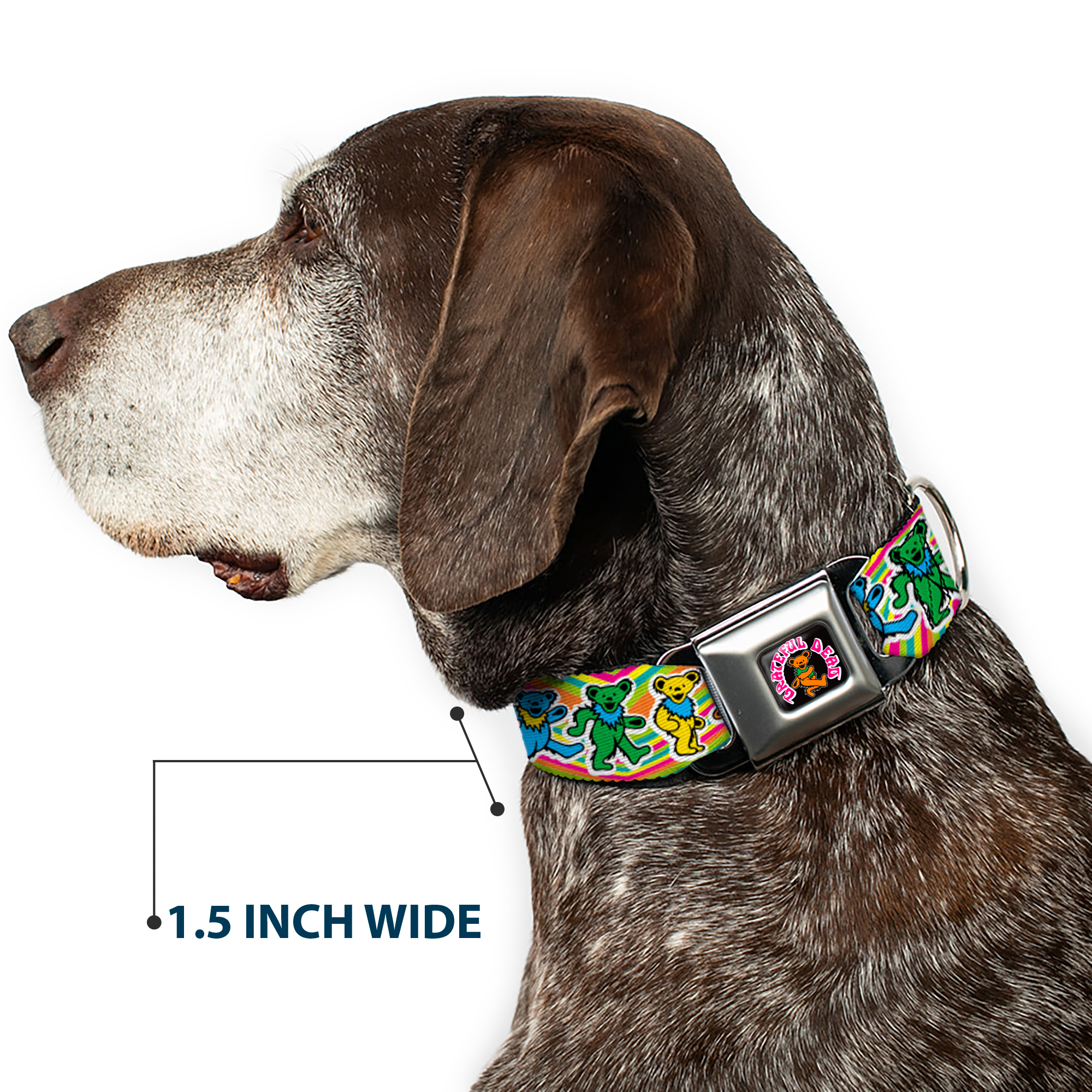 Dog Collar GDAJ-GRATEFUL DEAD Dancing Bear Icon Full Color Black/Ora (US IMPORT) - Bild 7 von 9