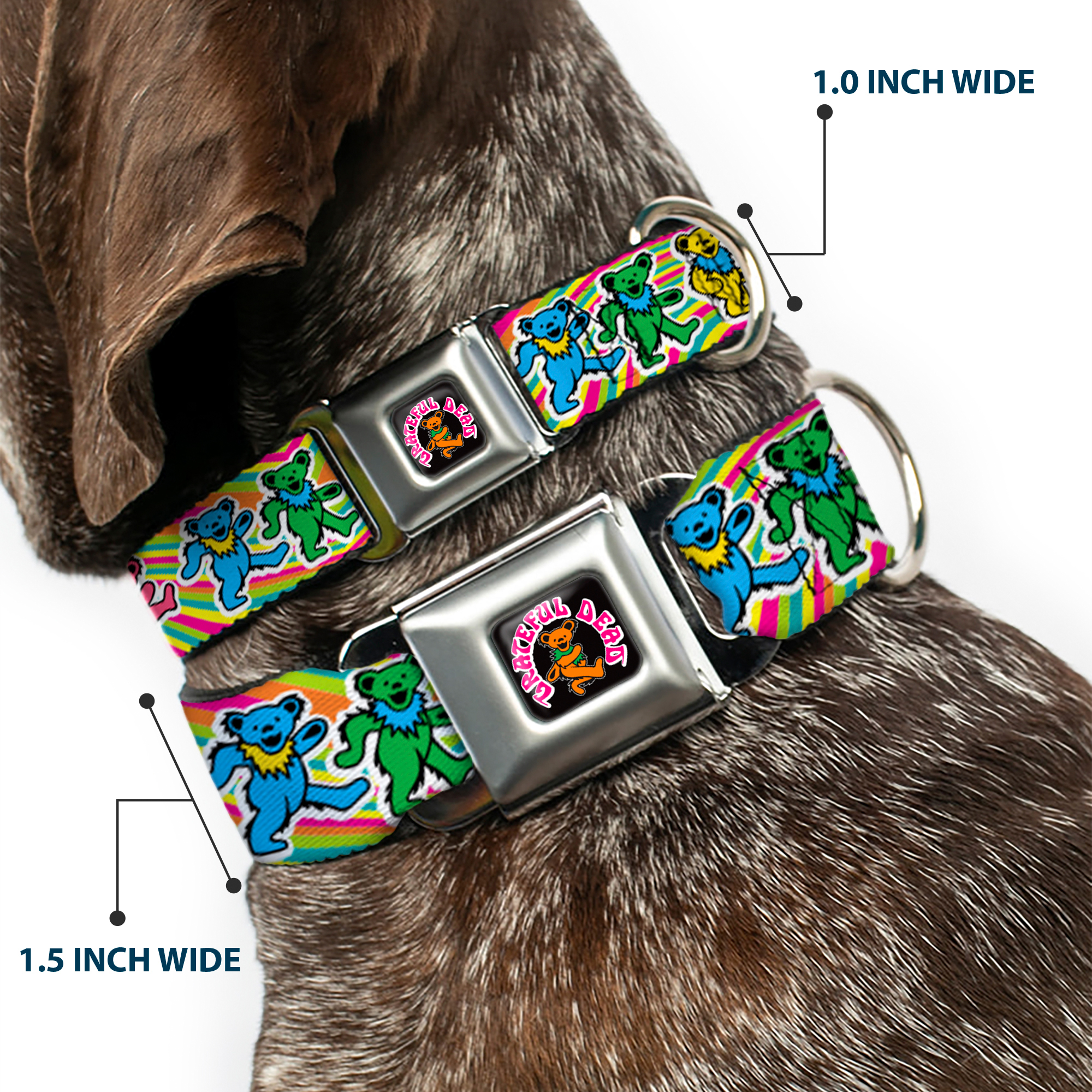 Dog Collar GDAJ-GRATEFUL DEAD Dancing Bear Icon Full Color Black/Ora (US IMPORT) - Bild 2 von 9
