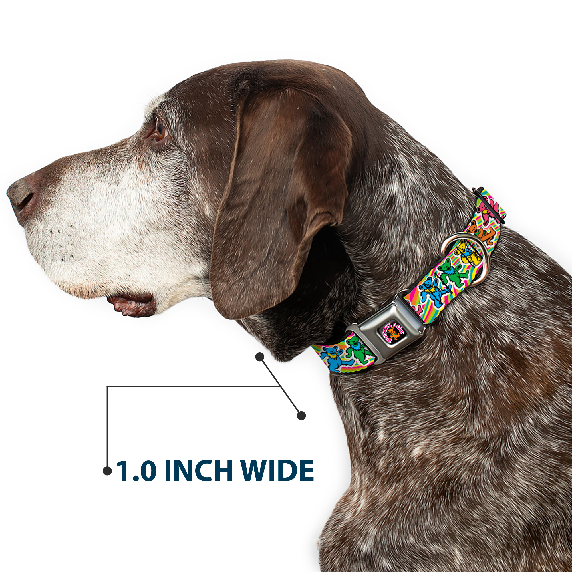 Dog Collar GDAJ-GRATEFUL DEAD Dancing Bear Icon Full Color Black/Ora (US IMPORT) - Bild 6 von 9