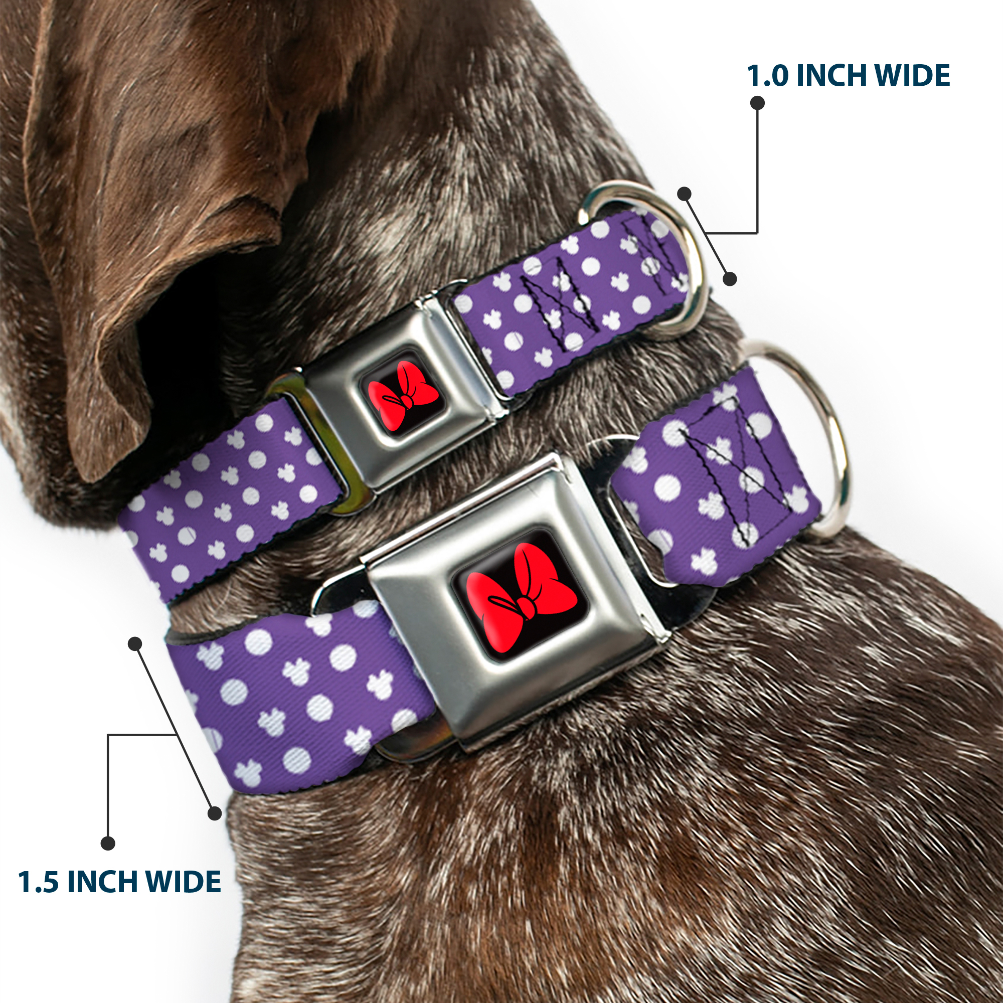 Dog Collar DYYR-Minnie Mouse Bow Full Color Black/Red Minnie Mouse Ears Monogram