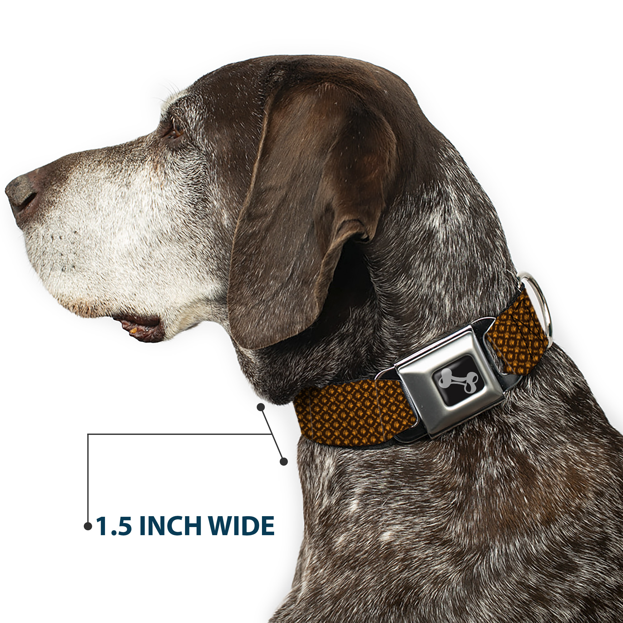 Dog Collar Bone Bone & Paw Monogram Brown/Orange WIDE-Medium 16-23"