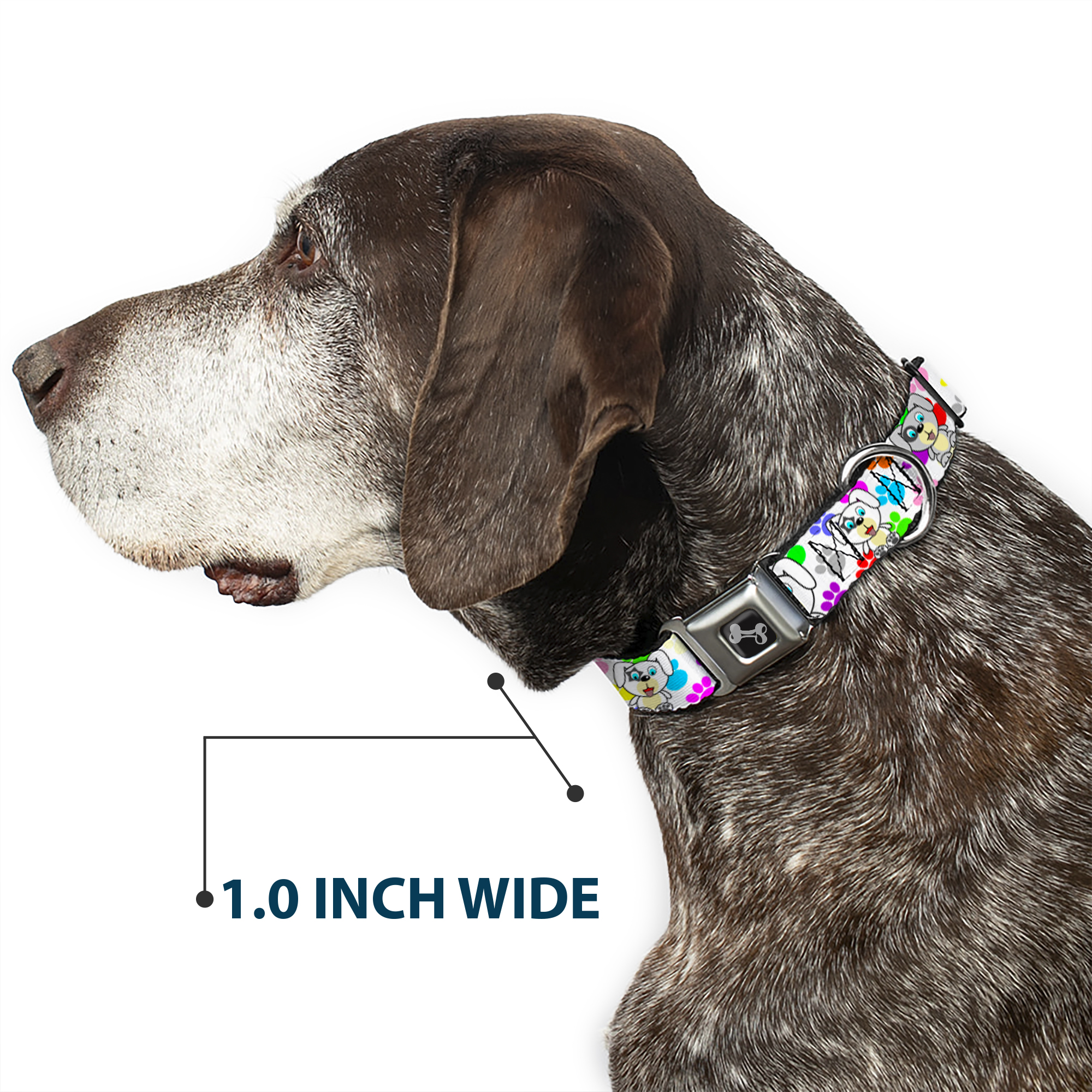 Dog Collar Bone Puppies w/Paw Prints White/Multi Color WIDE-Medium 16-23"