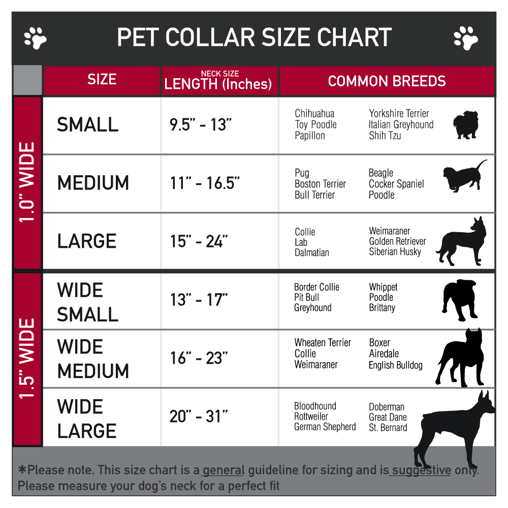 Dog Collar Bone Skateboard Love WIDE-Small 13-17"