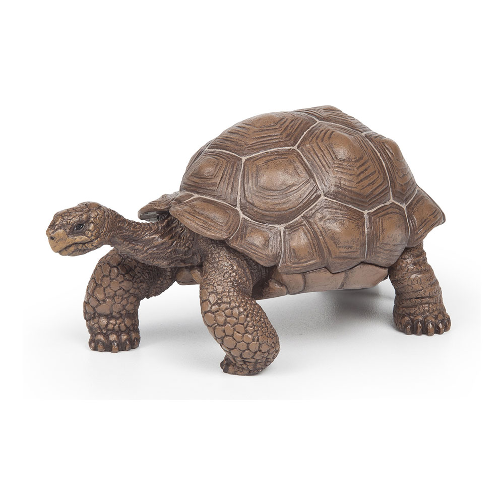 Photos - Action Figures / Transformers Papo Wild Animal Kingdom Galapagos Tortoise Toy Figure Green  50161 (50161)