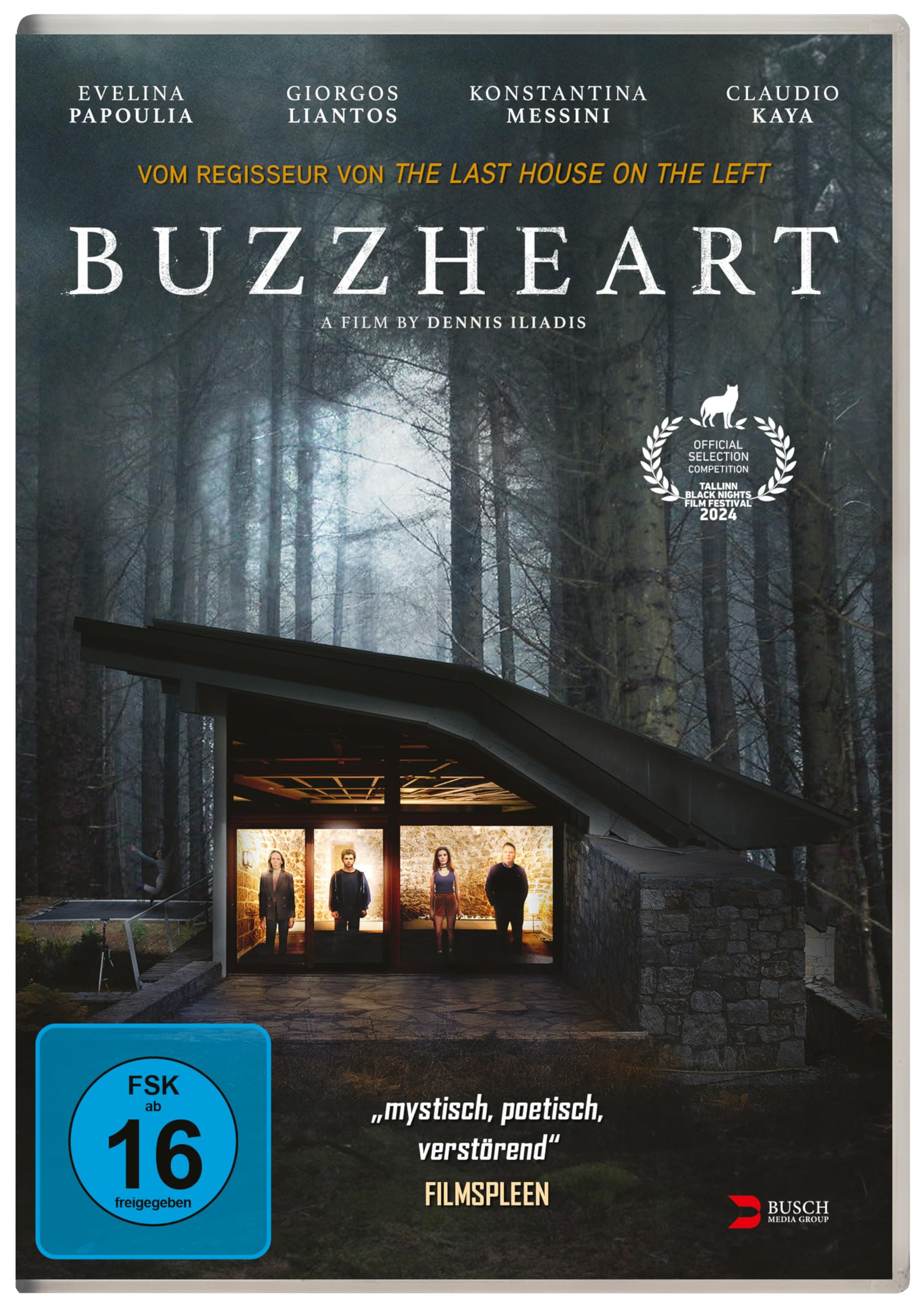 Buzzheart (DVD)