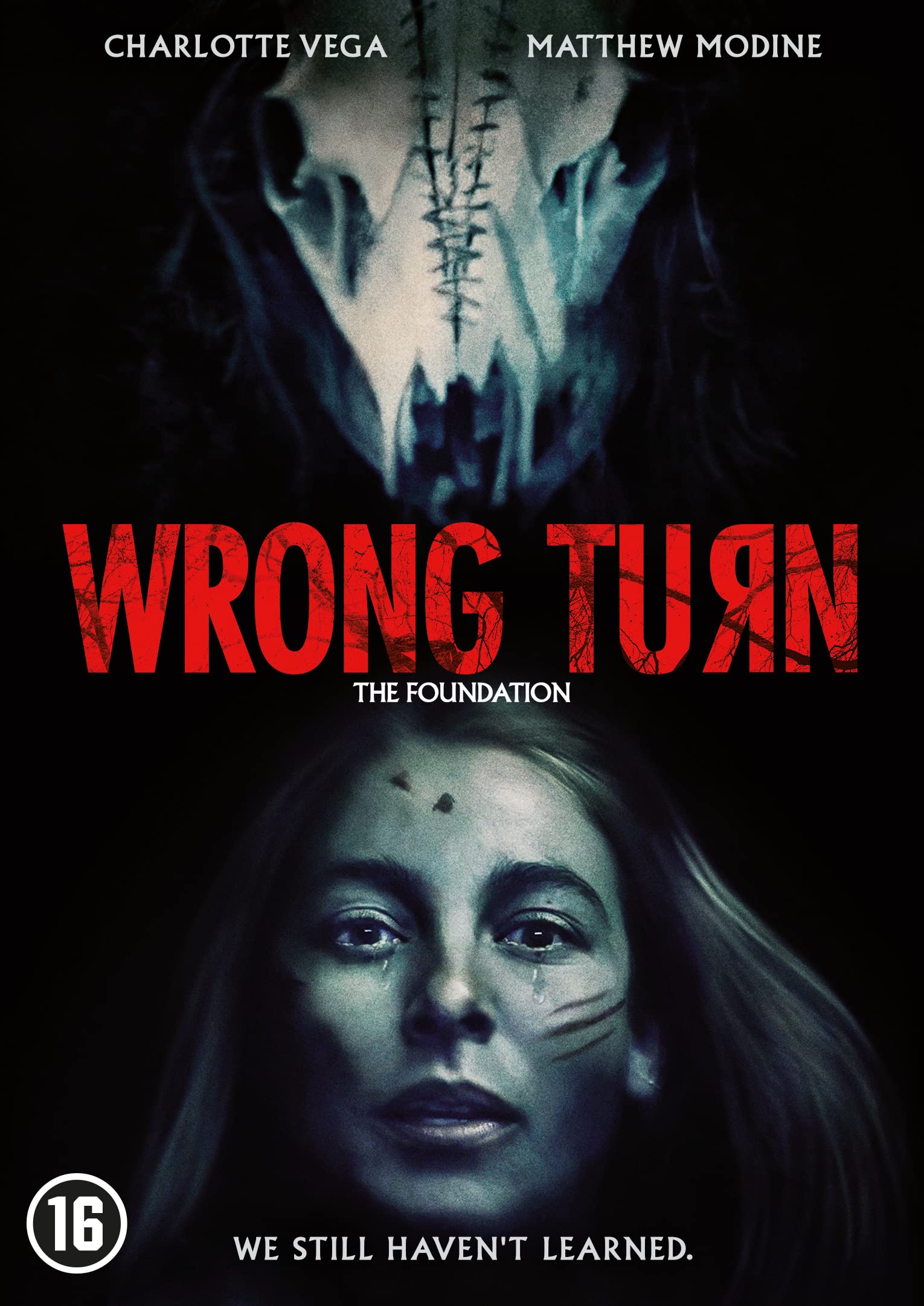 Wrong Turn (DVD)